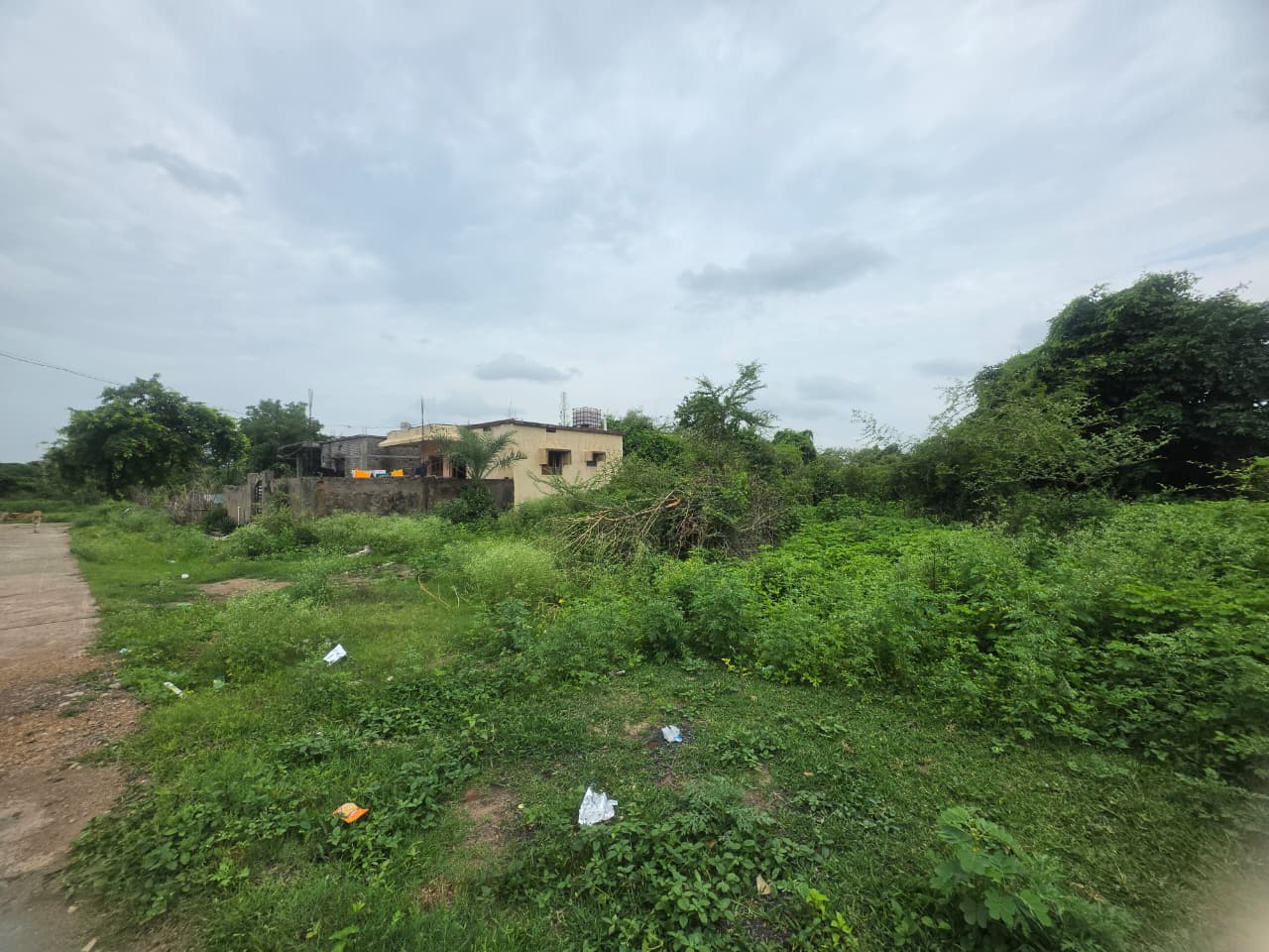 1614 square feet Plot for sale in KORPANA Ballarpur — photo 13