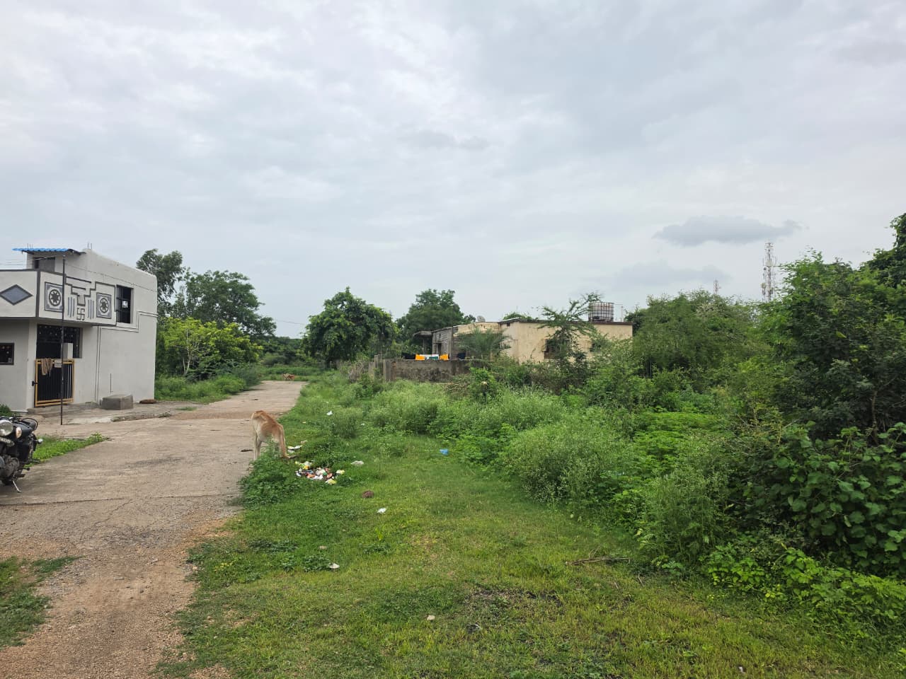 1614 square feet Plot for sale in KORPANA Ballarpur — photo 15
