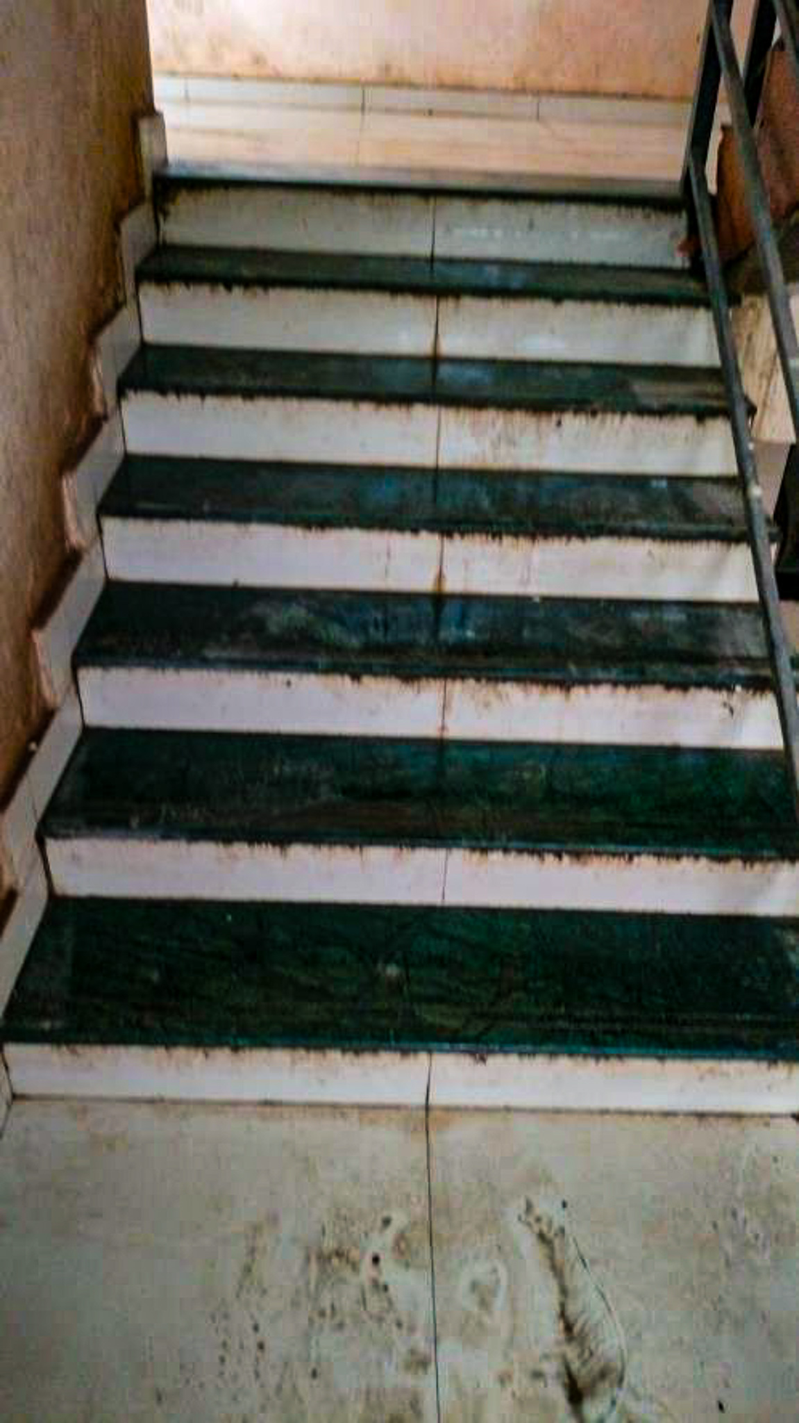362 square feet Flat for sale in Vill- Chandrapara Vasai Virar — photo 4