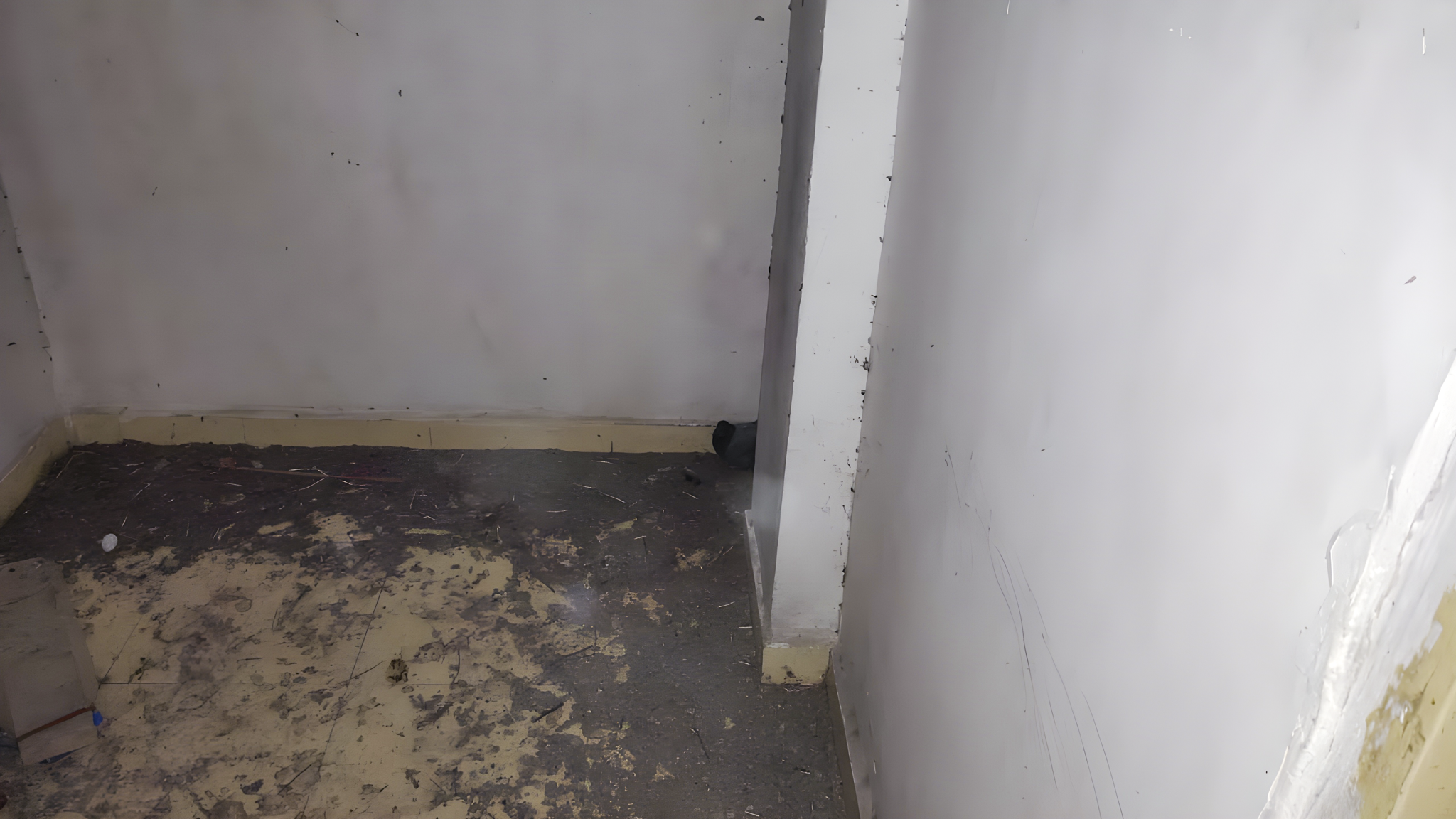 Flat for sale in Surat — photo 13
