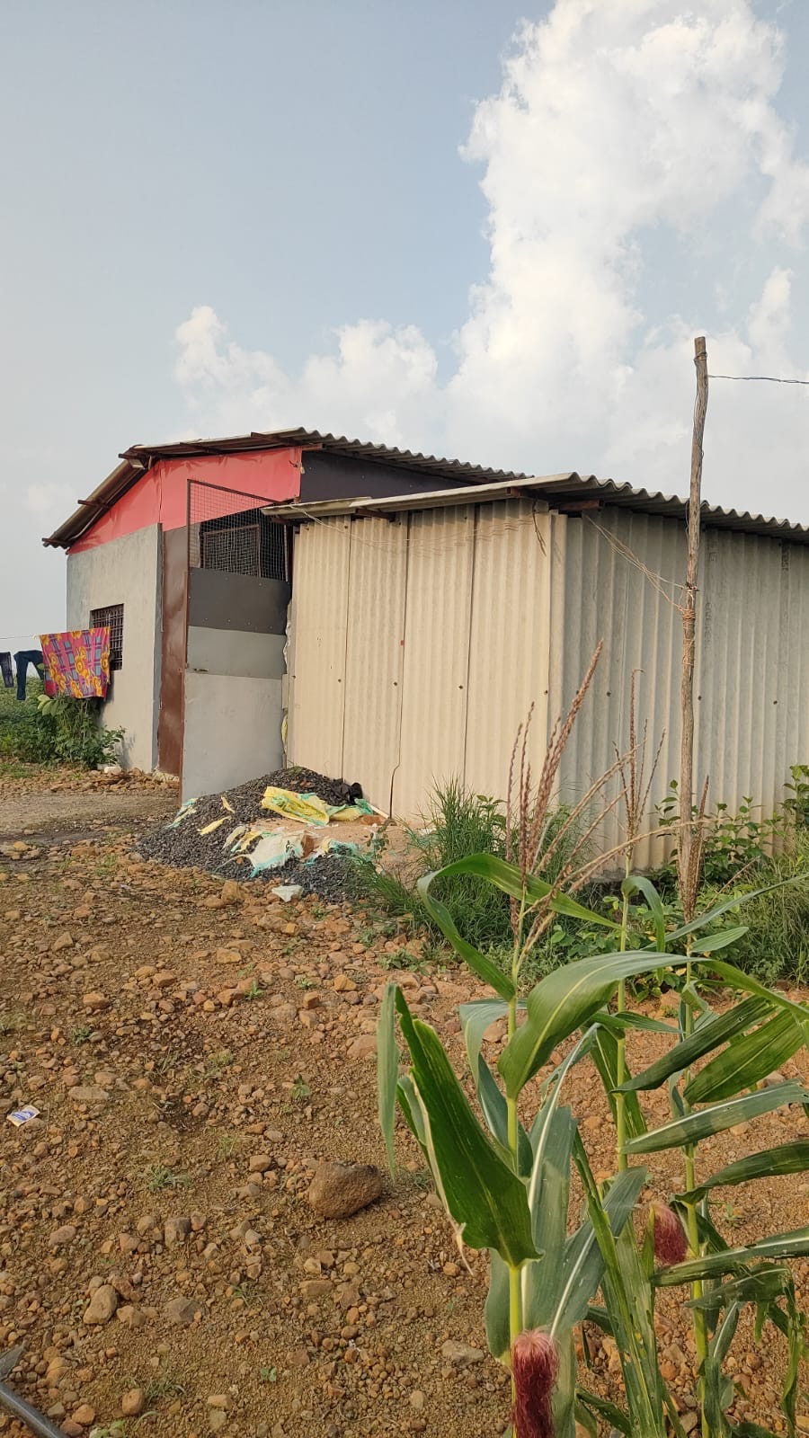 Plot for sale in Rajgarh — photo 5
