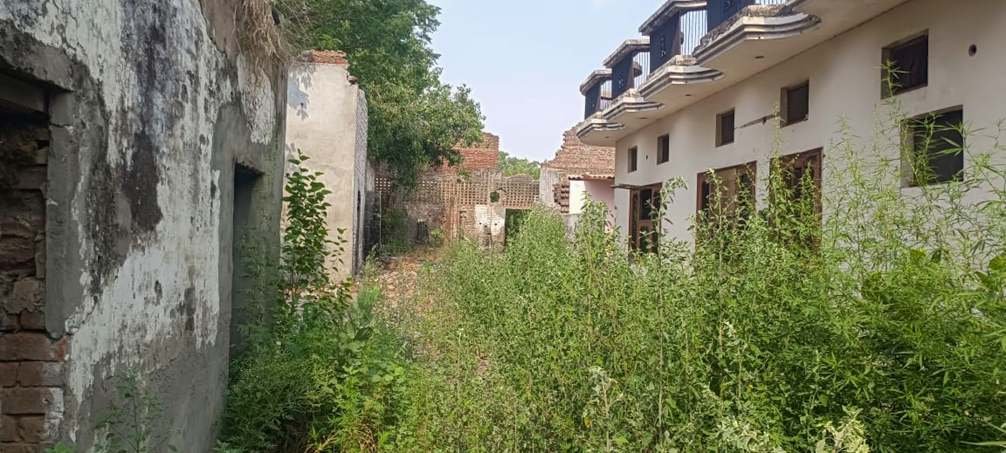 Industrial Shed for sale in Phillaur — photo 3