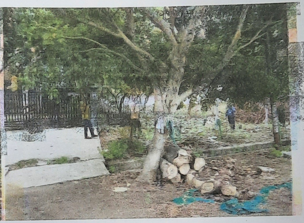 5100 square feet Plot for sale in Maraimalai Nagar — photo 2