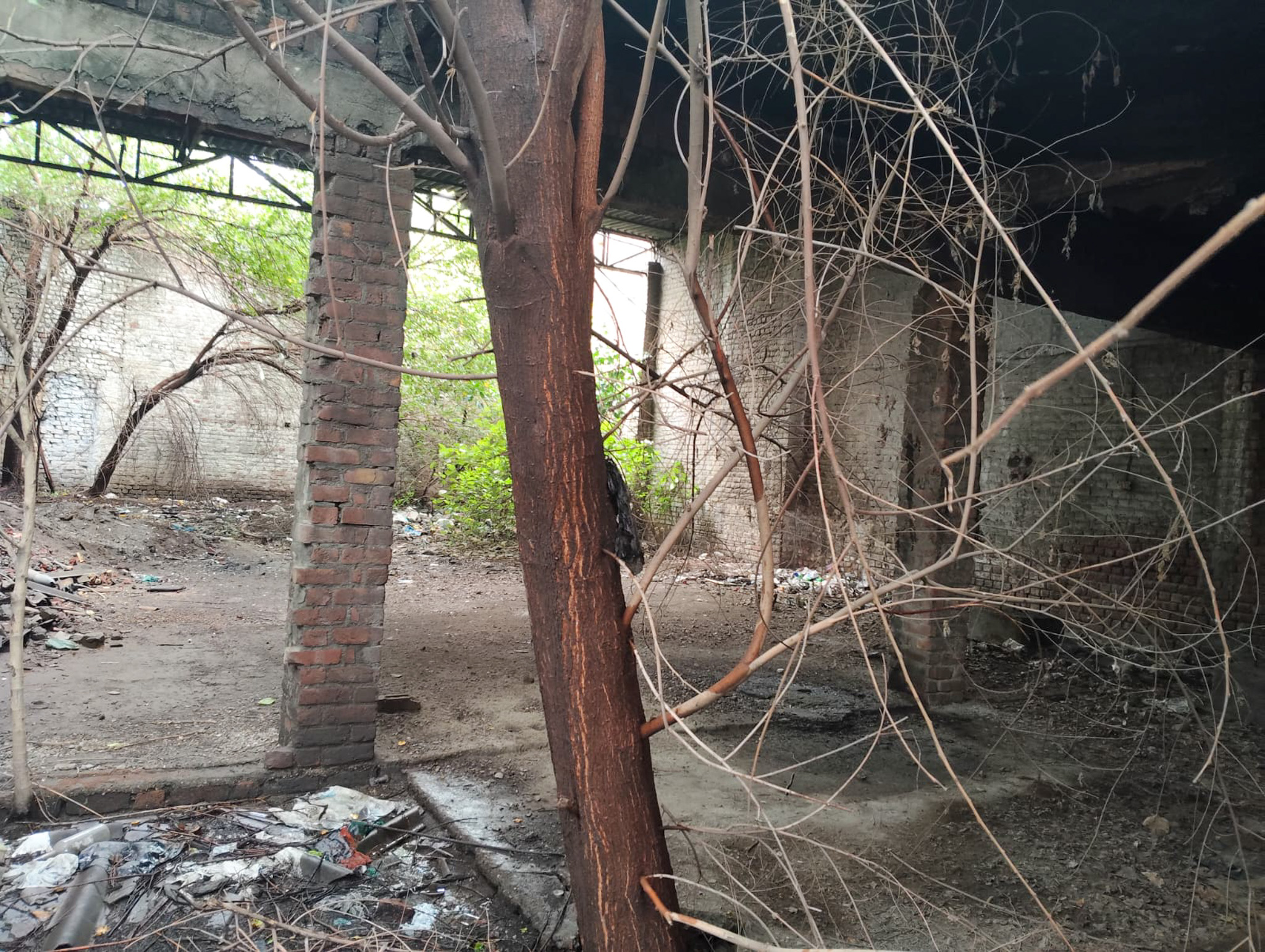 Individual House for sale in Jalandhar — photo 6