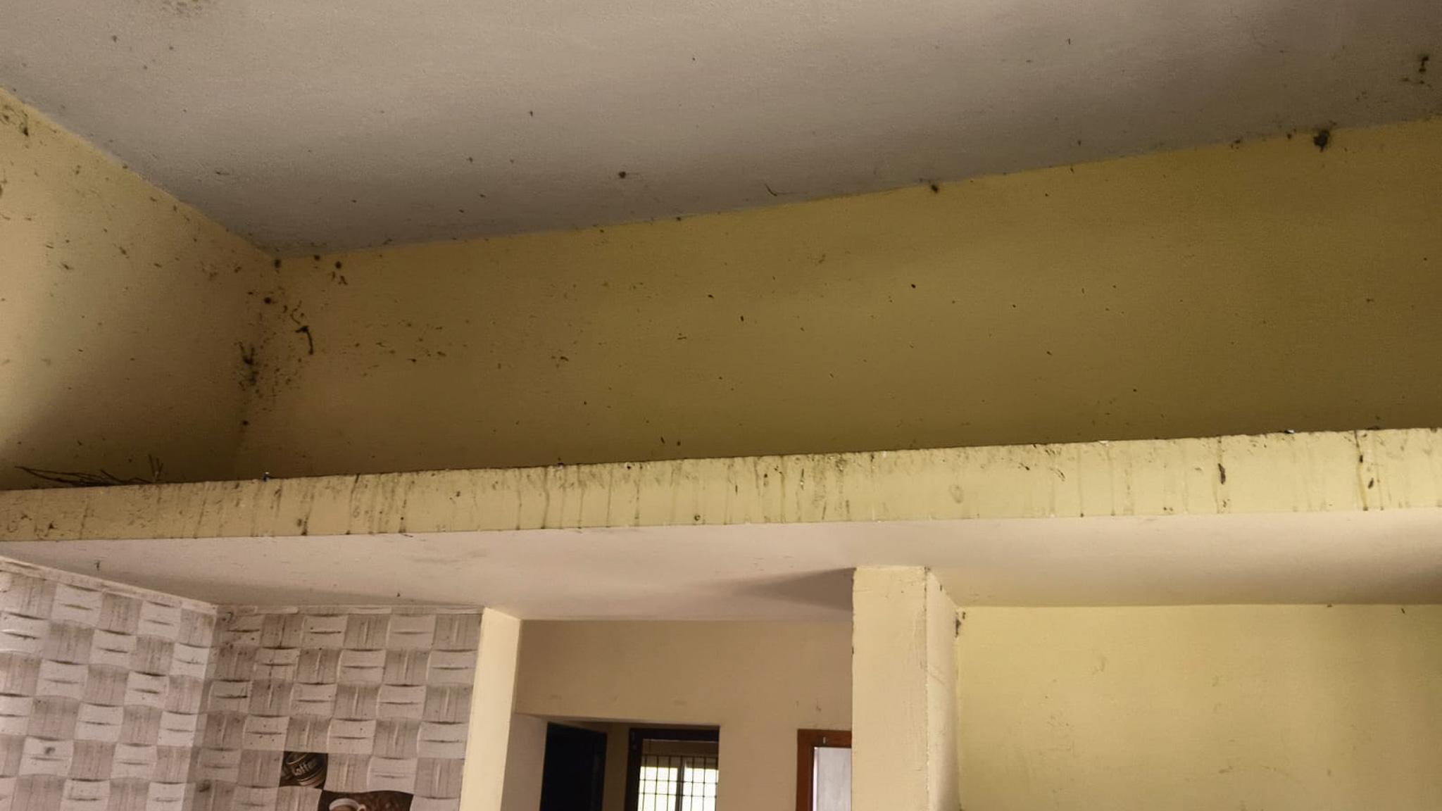 2 BHK Flat for sale in FLAT, Gerugambakkam Chennai — photo 9