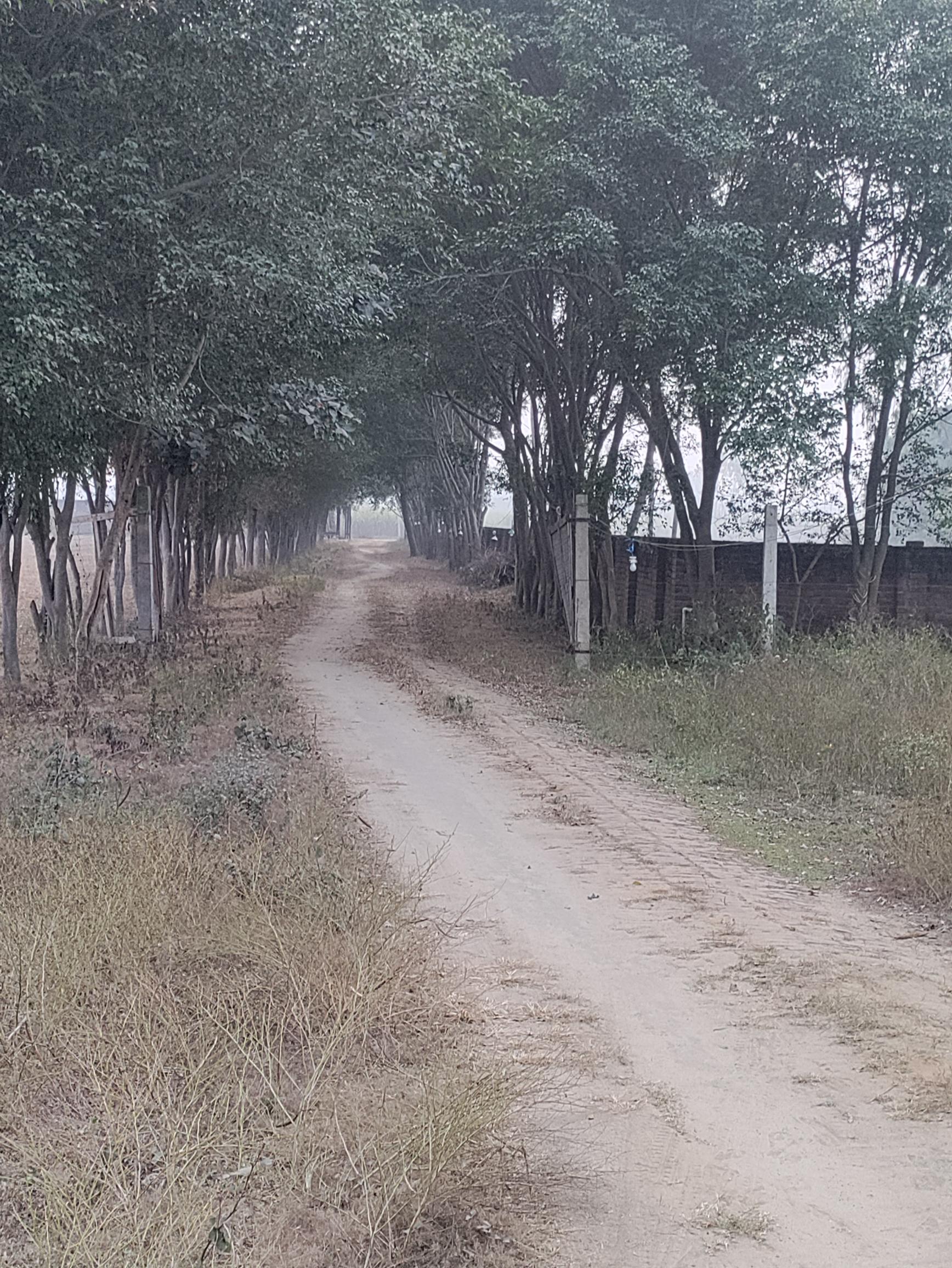 Plot for sale in Hastinapur — photo 6