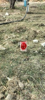 201.66 square yard Plot for sale in Tirupati — photo 4