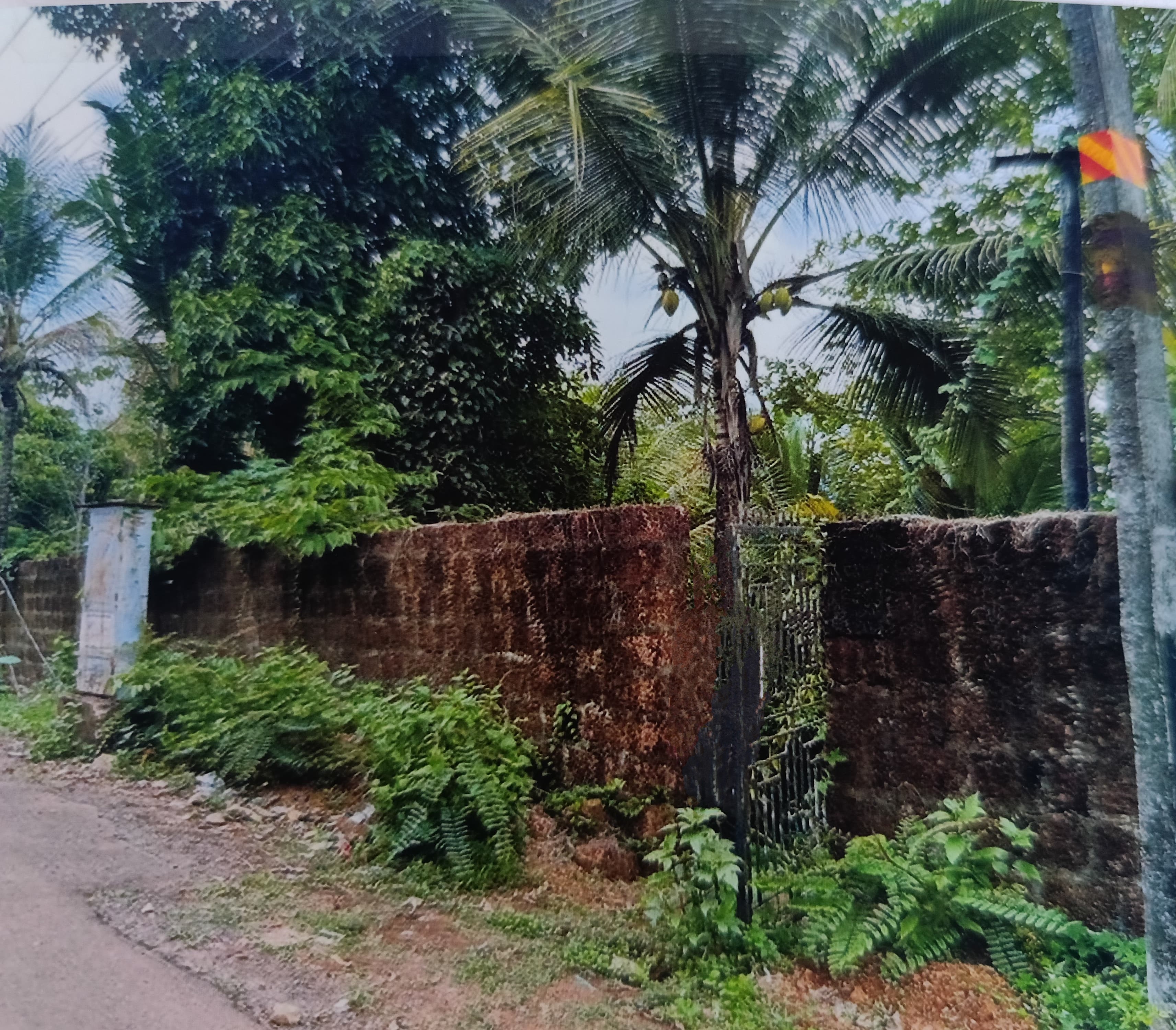 Plot for sale in Pariyaram — photo 6