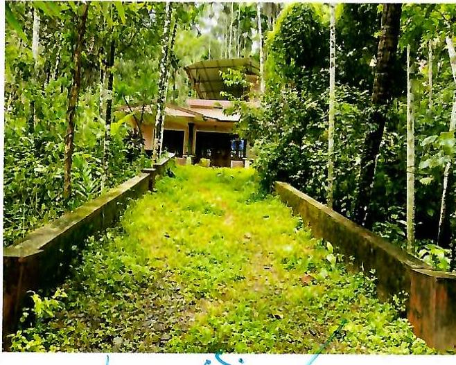 106.8 square meter Individual House for sale in Kayanna Amsom and Kayanna Desom of Koyilandy Taluk and Kozhikode District Eravattur — photo 2