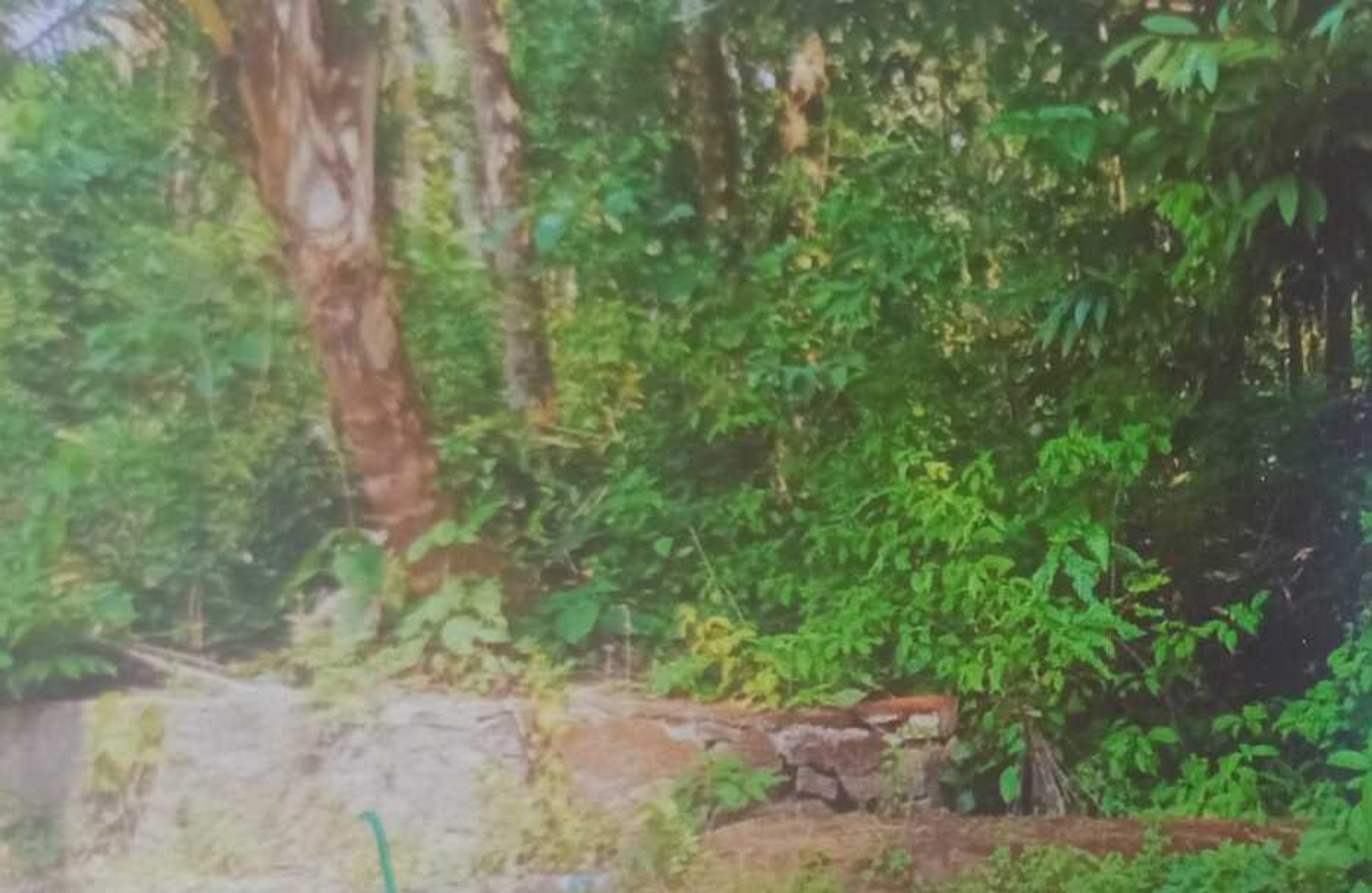 Plot for sale in Koyilandi — photo 2