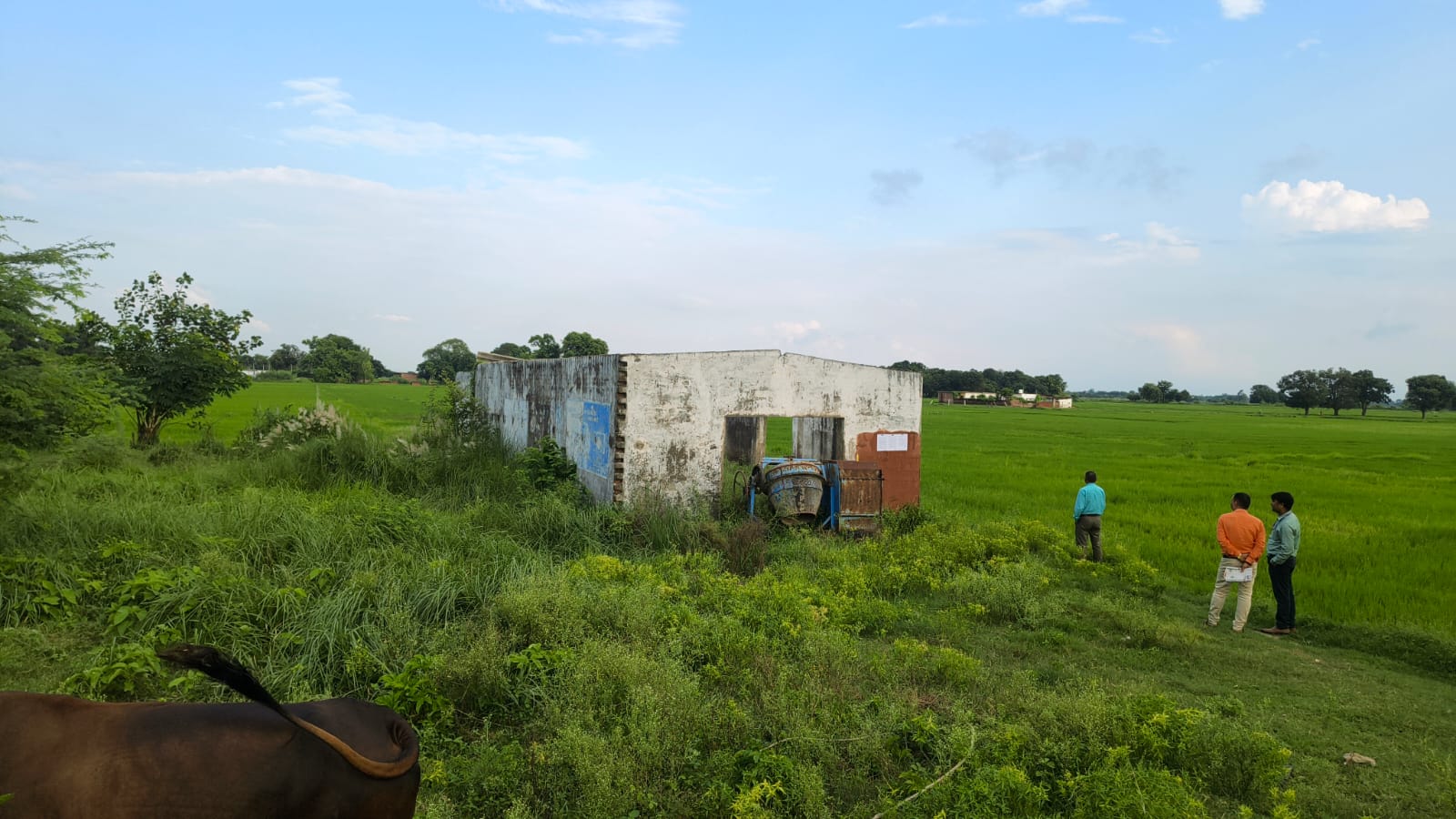 Individual House for sale in Shohratgarh — photo 1