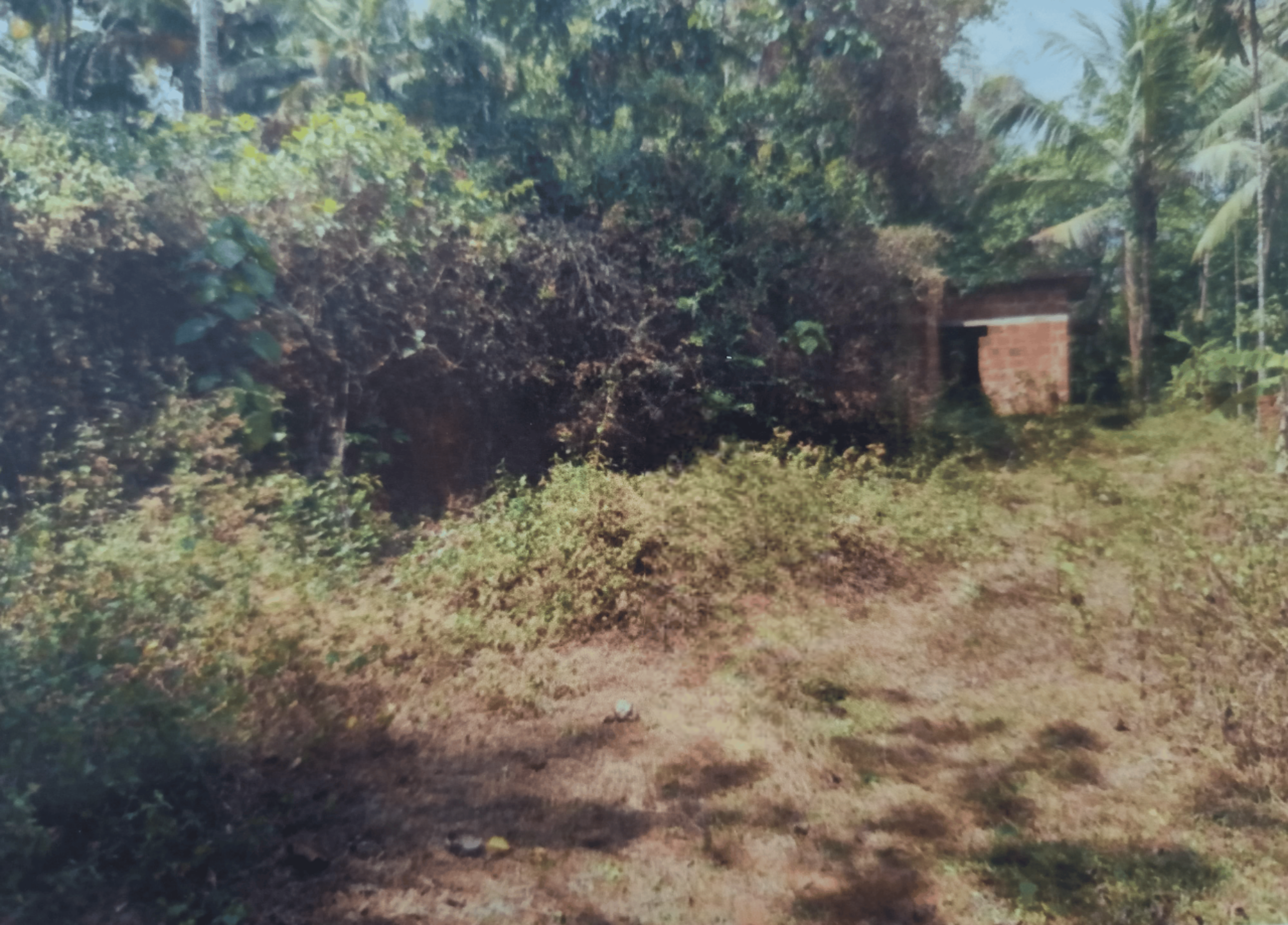Plot for sale in Mavoor — photo 2