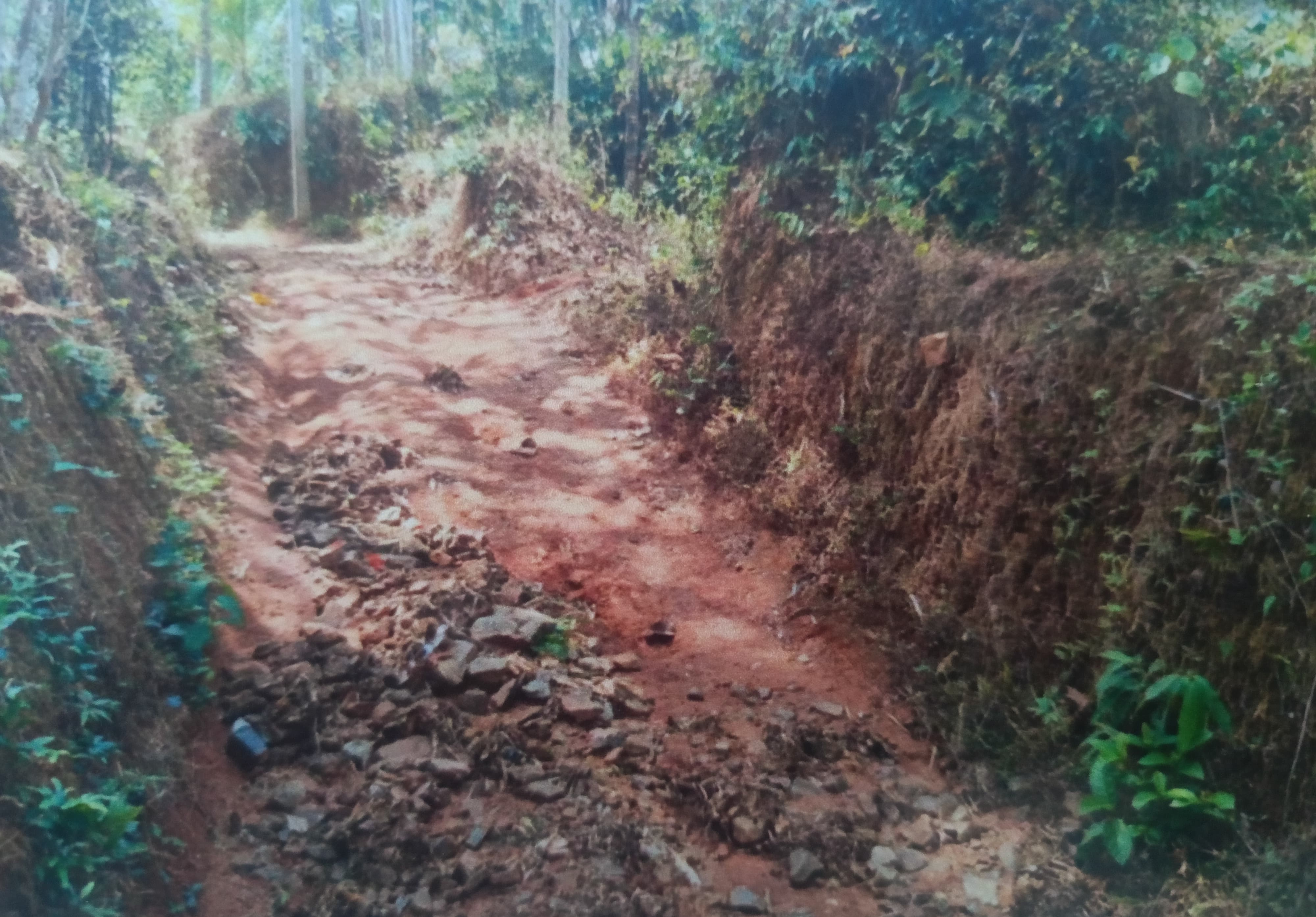 Plot for sale in Mavoor