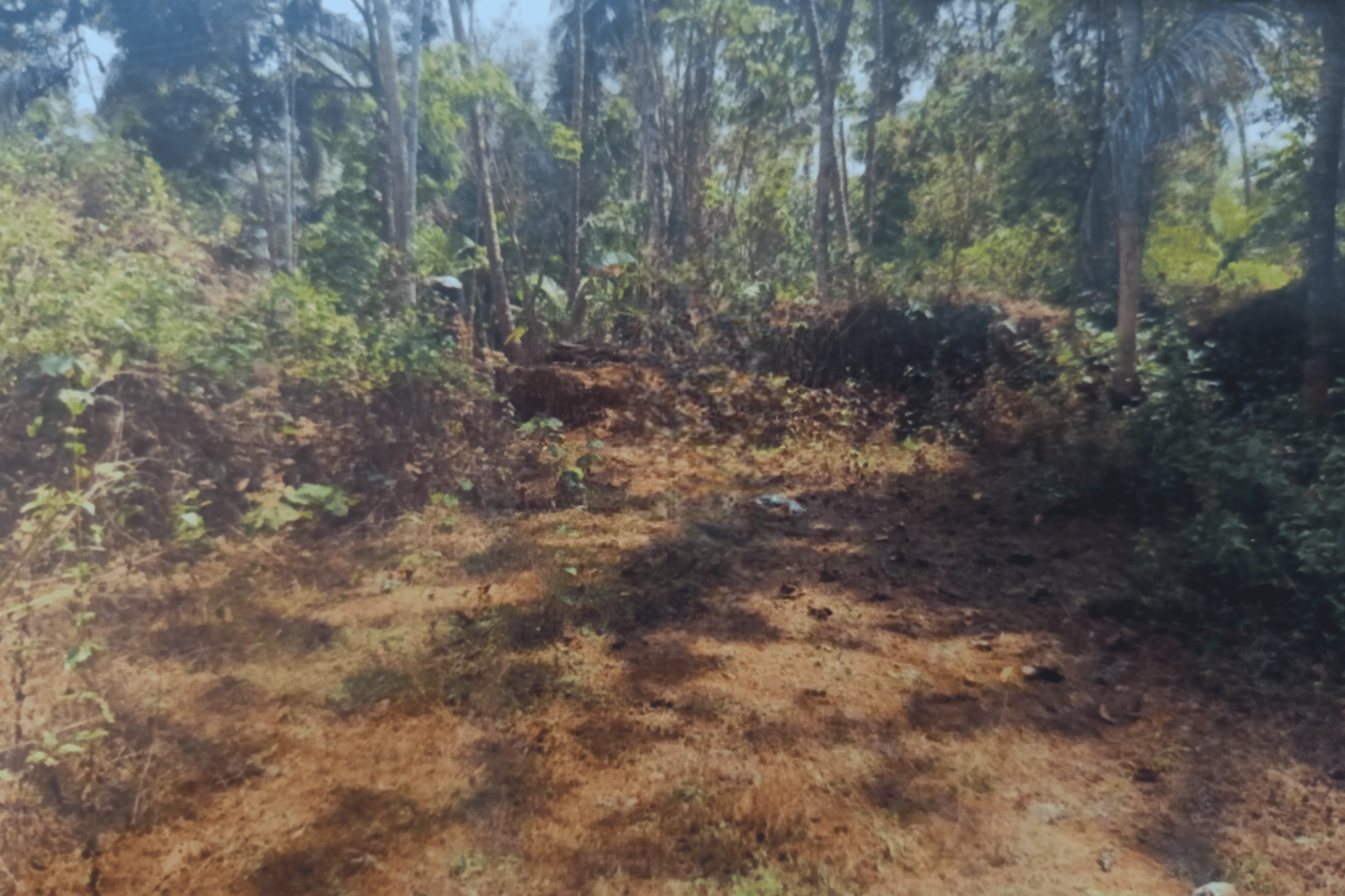 Plot for sale in Mavoor — photo 6