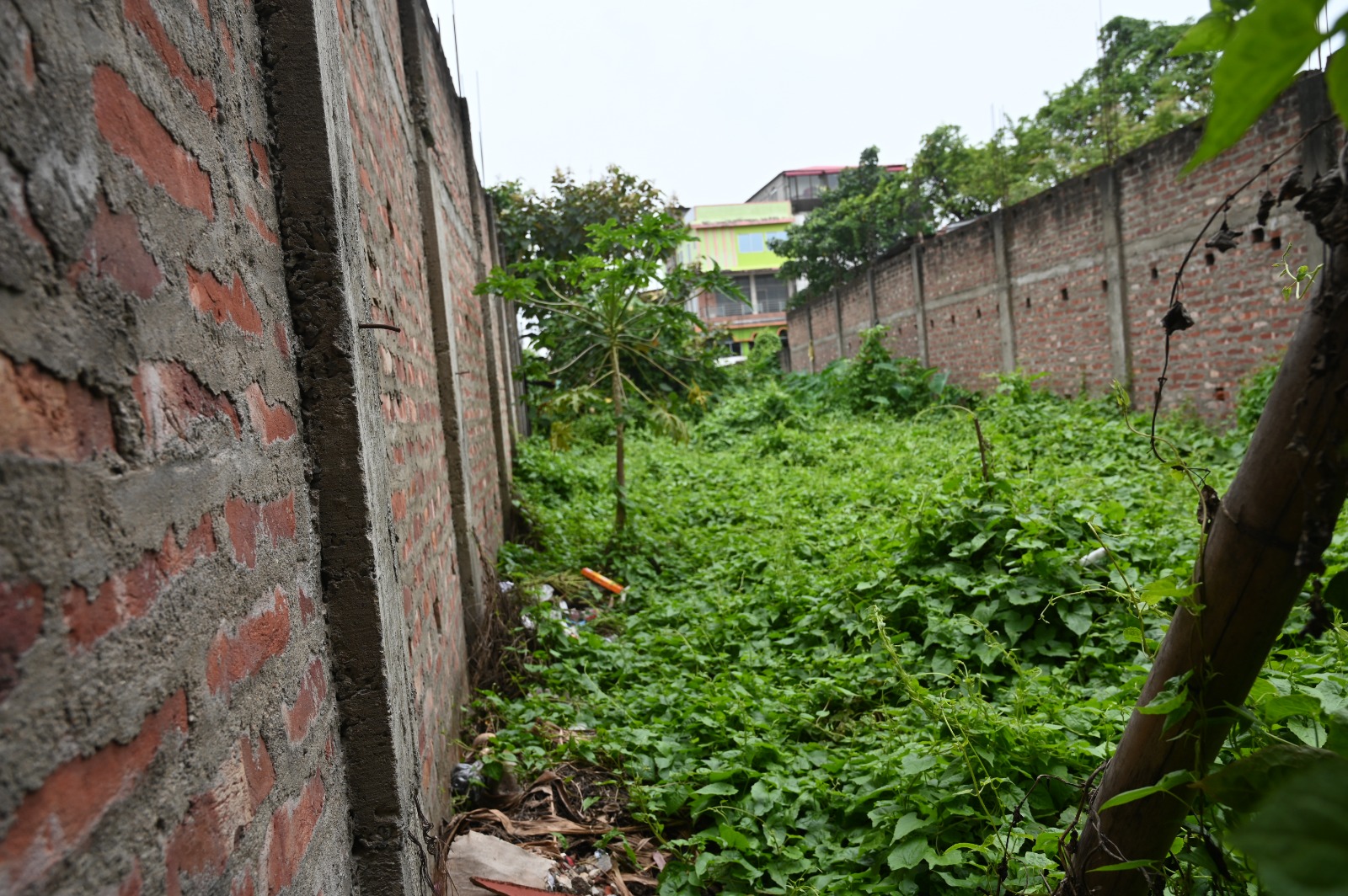 3600 square feet Plot for sale in Christian patty Kissam, Town nagaon Mouza Sadar Town District Nagaon (Assam) 782001 Nagaon — photo 7