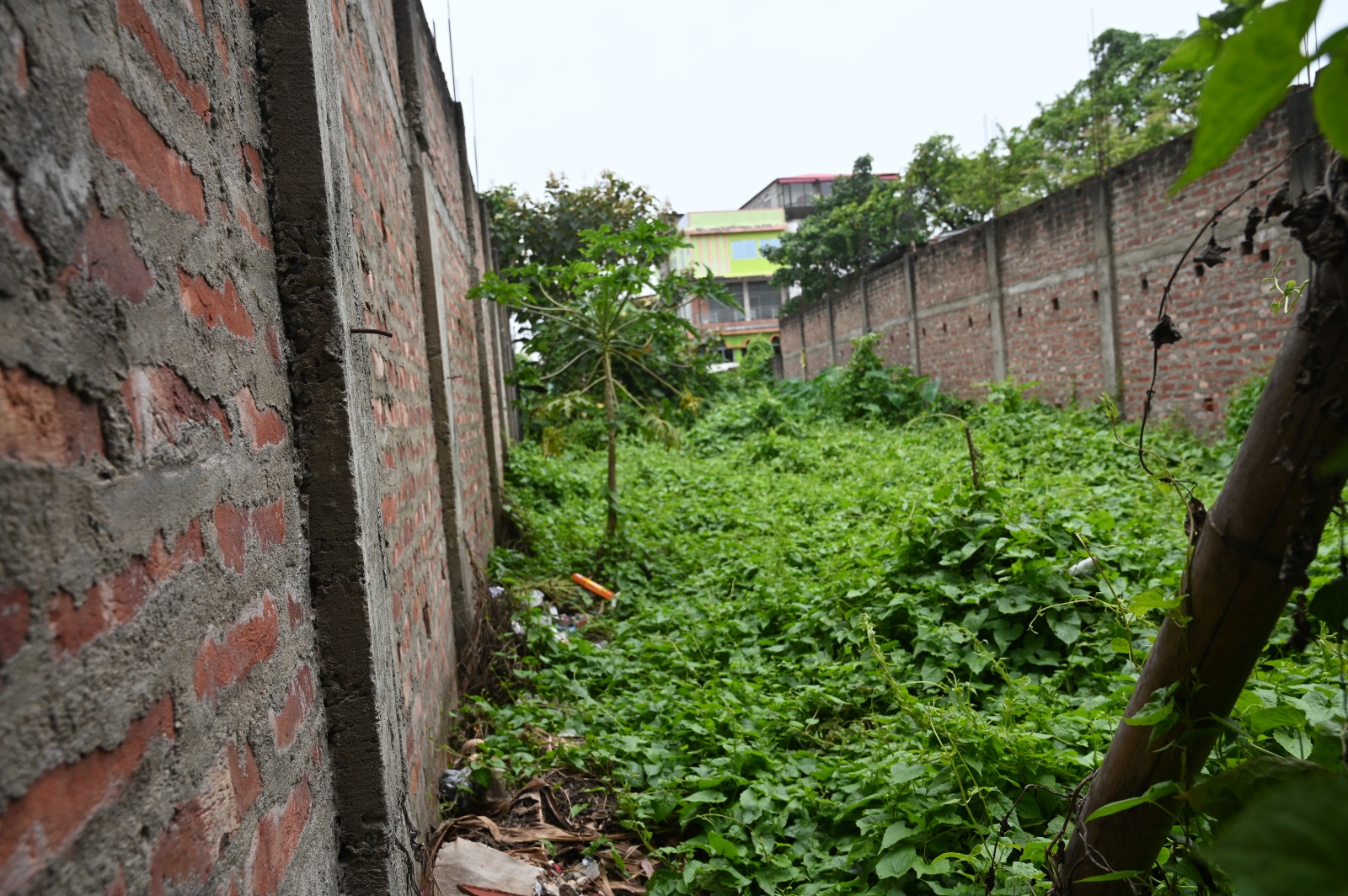 3600 square feet Plot for sale in Christian patty Kissam, Town nagaon Mouza Sadar Town District Nagaon (Assam) 782001 Nagaon — photo 8