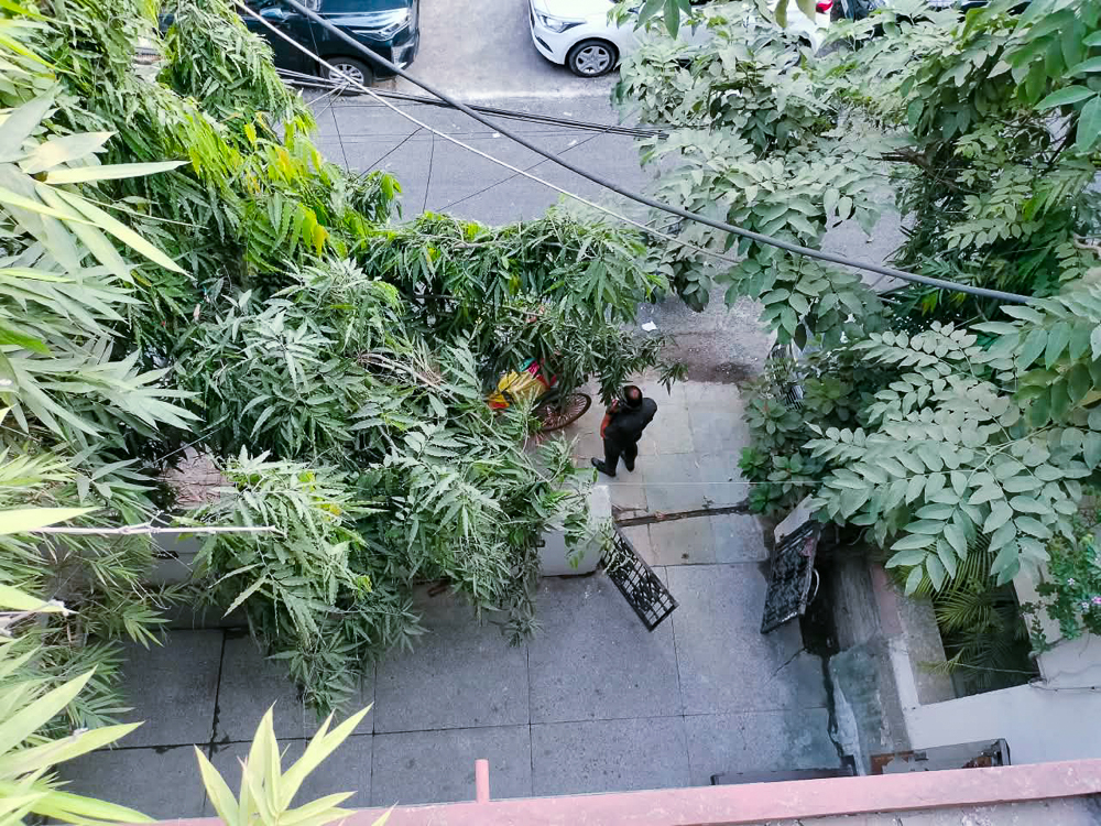 2 BHK Flat for sale in H -5 second floor Block H South Ext New Delhi, South Extention Part-1 New Delhi New Delhi — photo 18