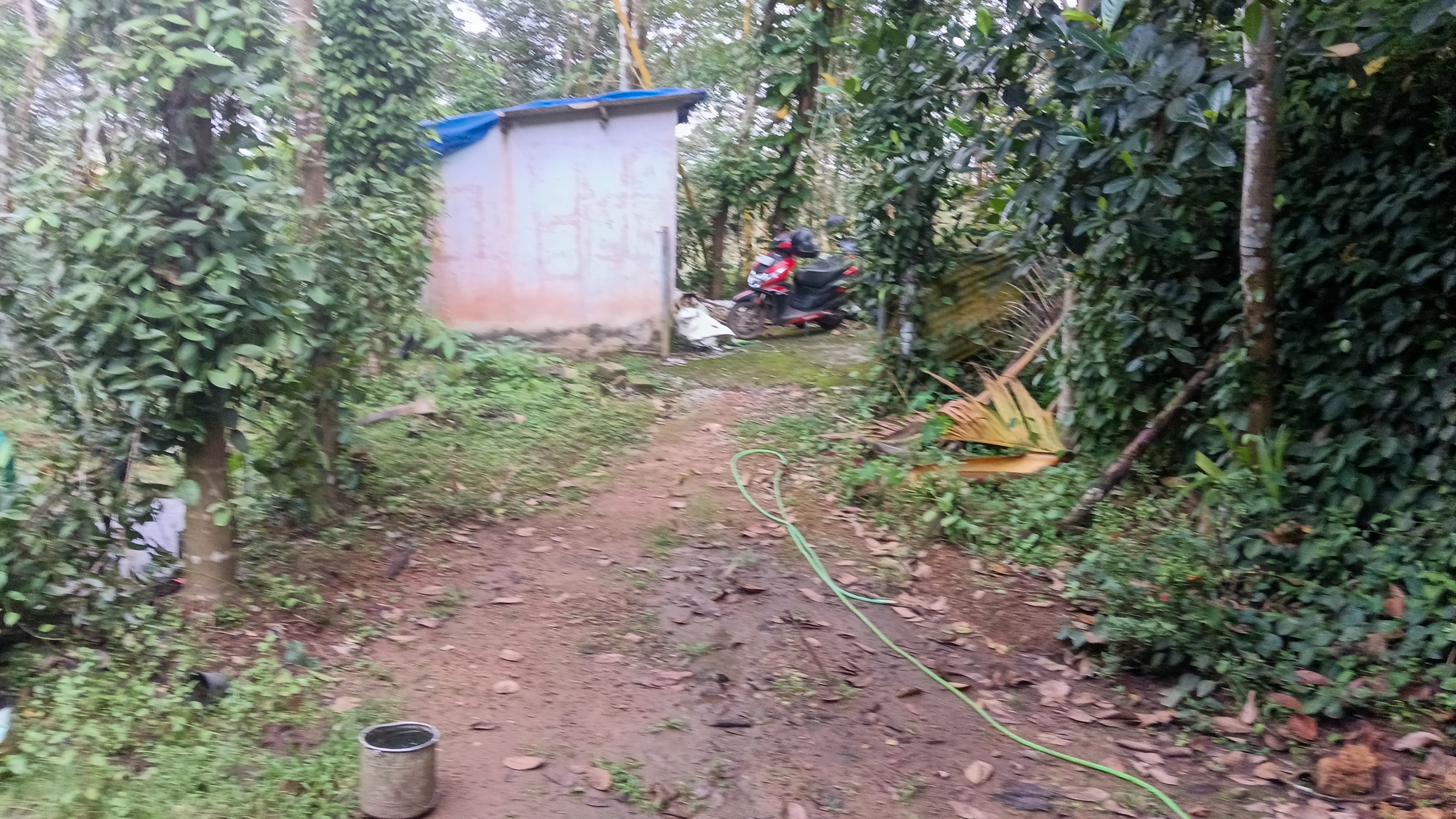 Individual House for sale in Karakulam — photo 1