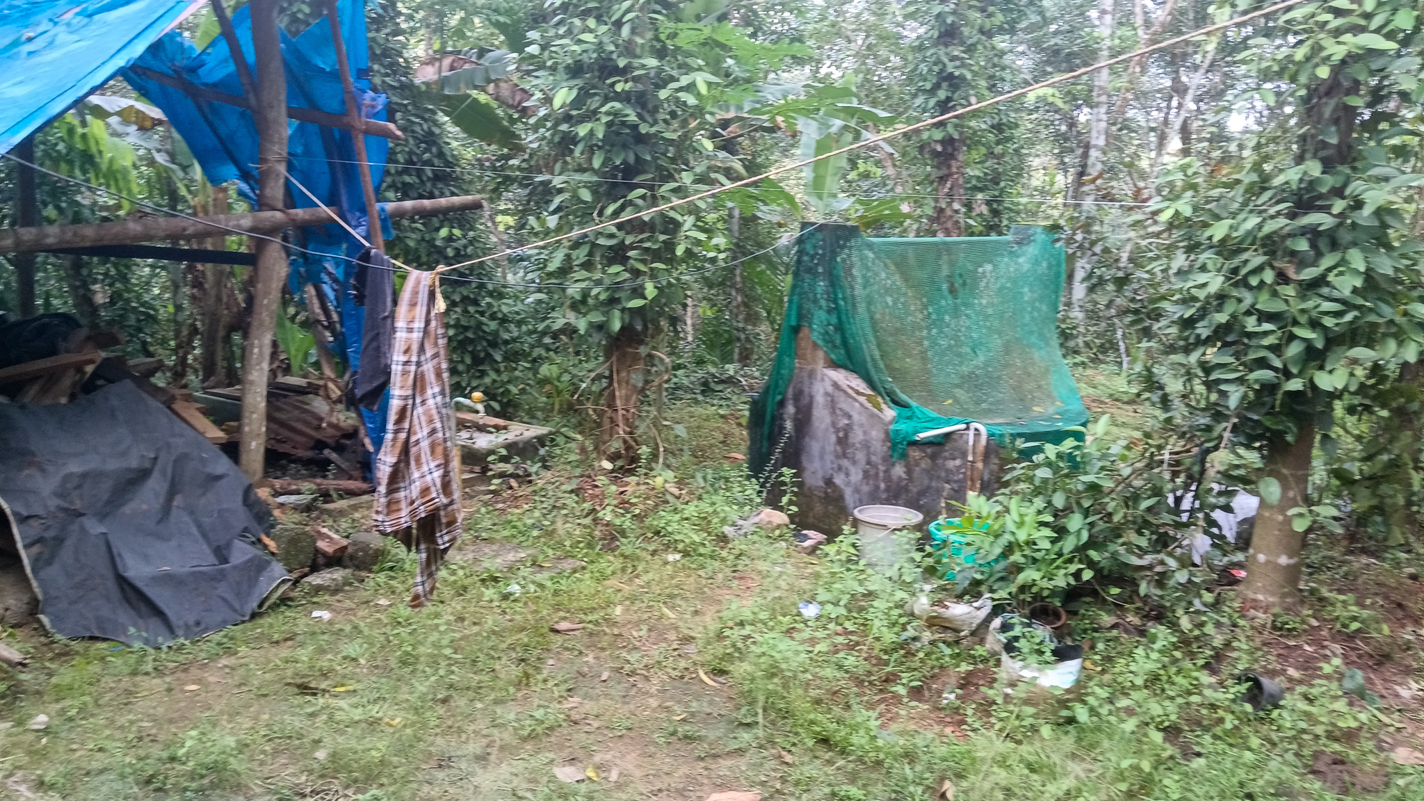 Individual House for sale in Karakulam — photo 2