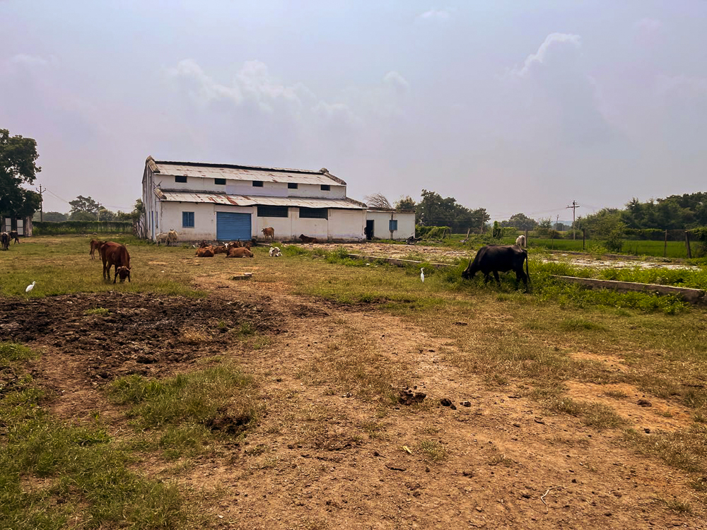 2806.91 square feet Shed with Plant and Machinery for sale in H NO 5-114 G.P. TIN NO 663 LIES IN SY NO 908/B MAHADEV INDUSTRIES WAJIDNAGAR DISTRICT NIZAMABAD Nizamabad — photo 3