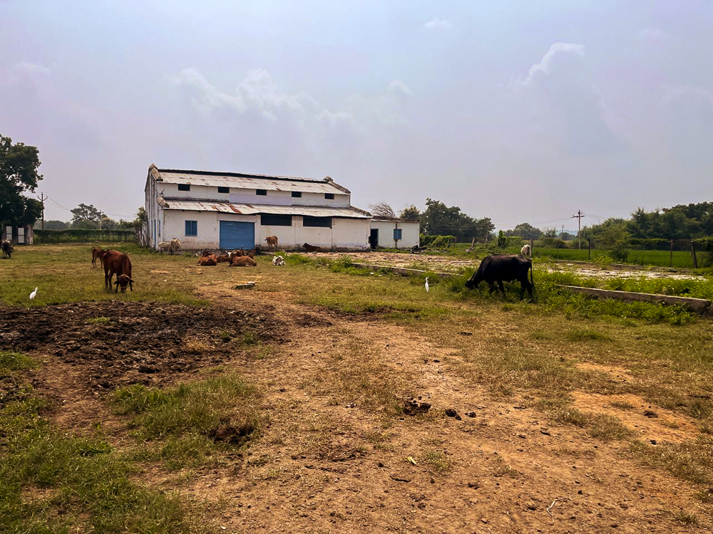 2806.91 square feet Shed with Plant and Machinery for sale in H NO 5-114 G.P. TIN NO 663 LIES IN SY NO 908/B MAHADEV INDUSTRIES WAJIDNAGAR DISTRICT NIZAMABAD Nizamabad — photo 4