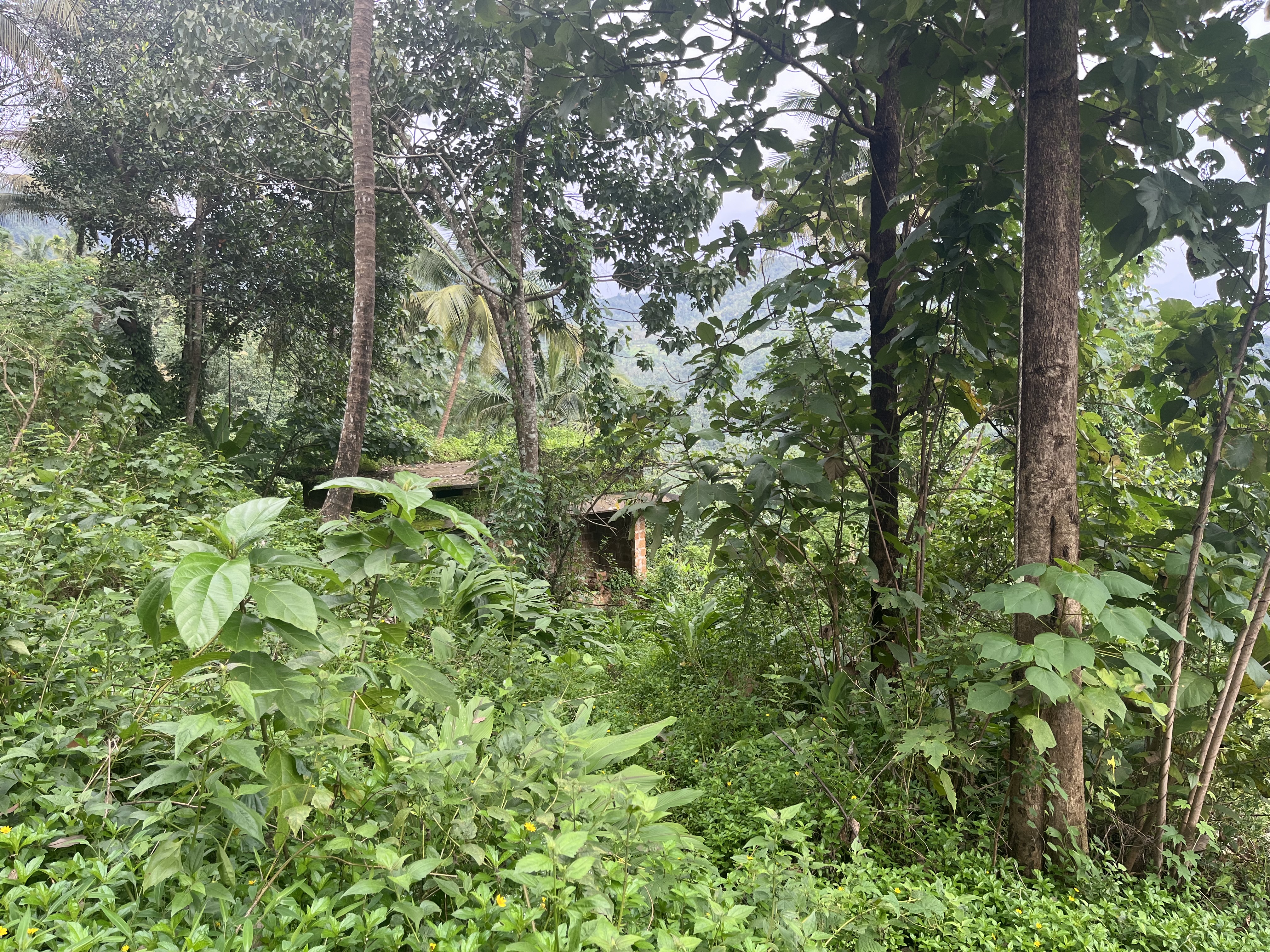 Individual House for sale in Taliparamba,kannur Sreekantapuram — photo 1