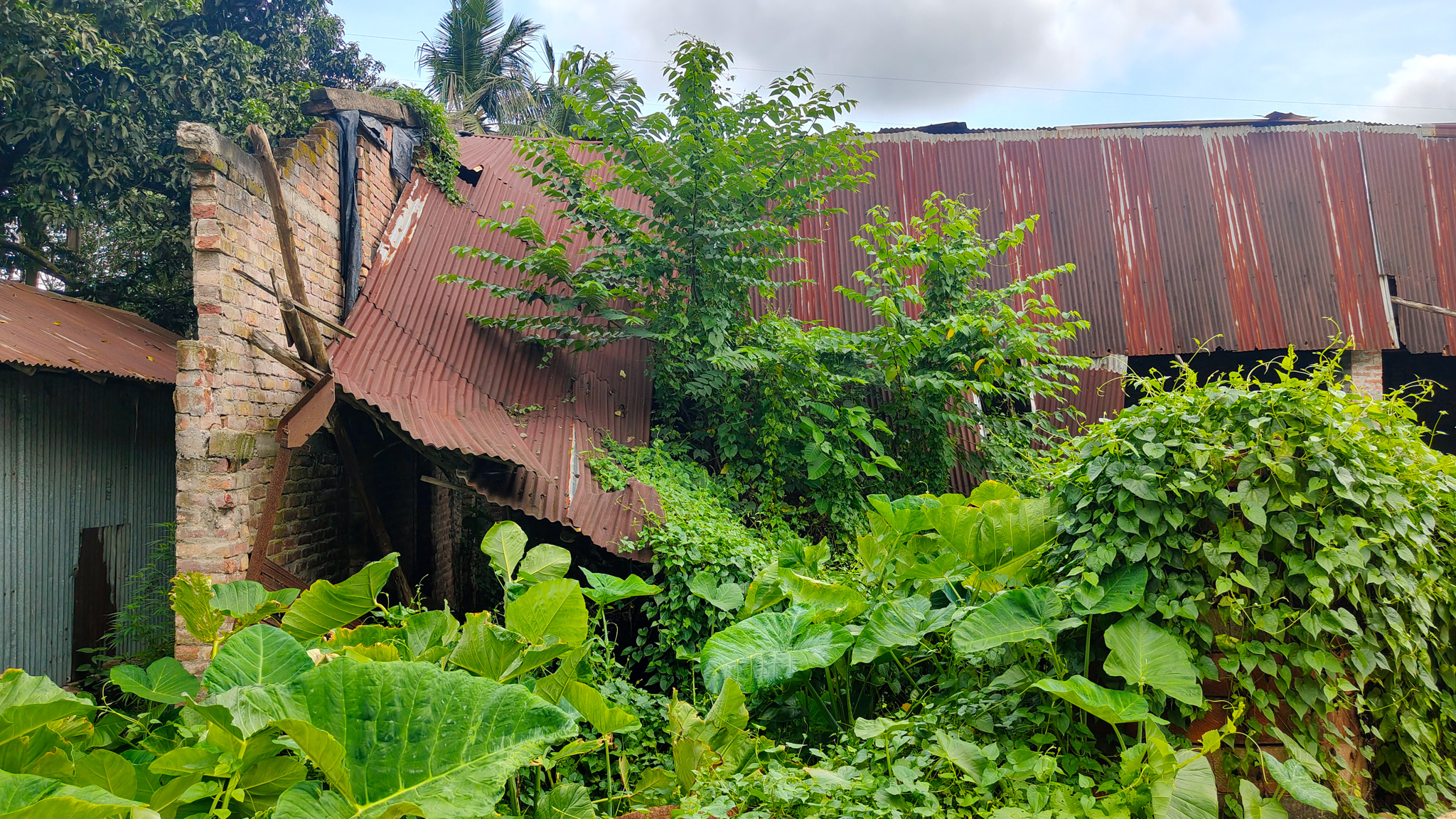 Godowns for sale in Bara — photo 14