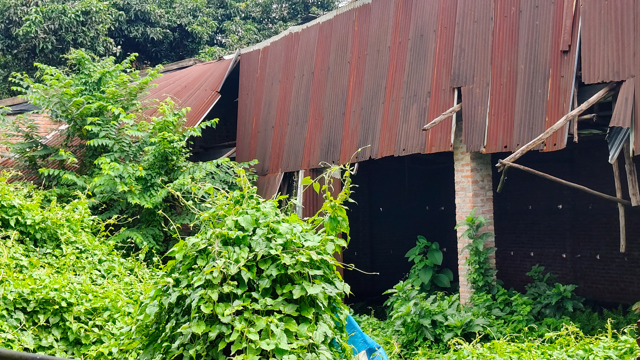 Godowns for sale in Bara — photo 3