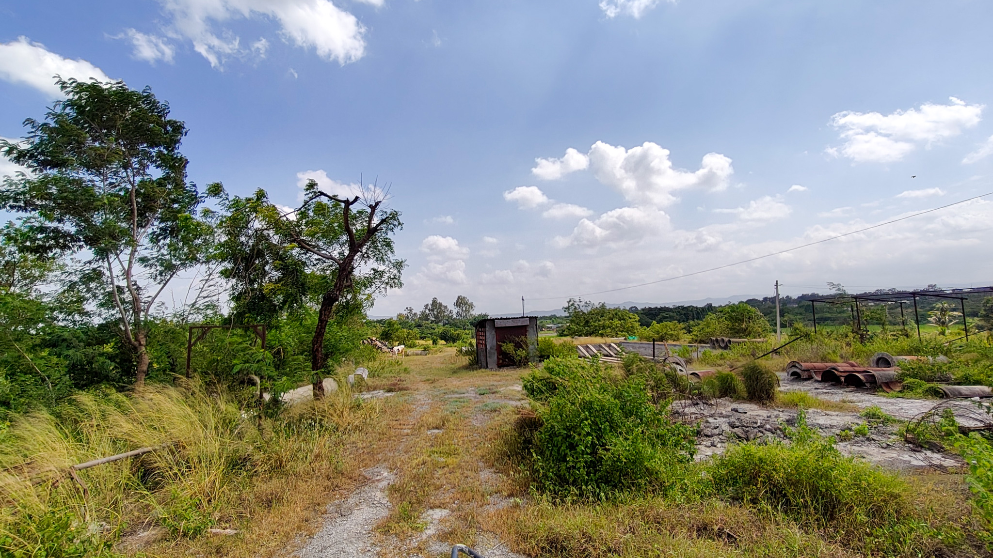 3000 square meter Industrail land with shed for sale in Paud — photo 8
