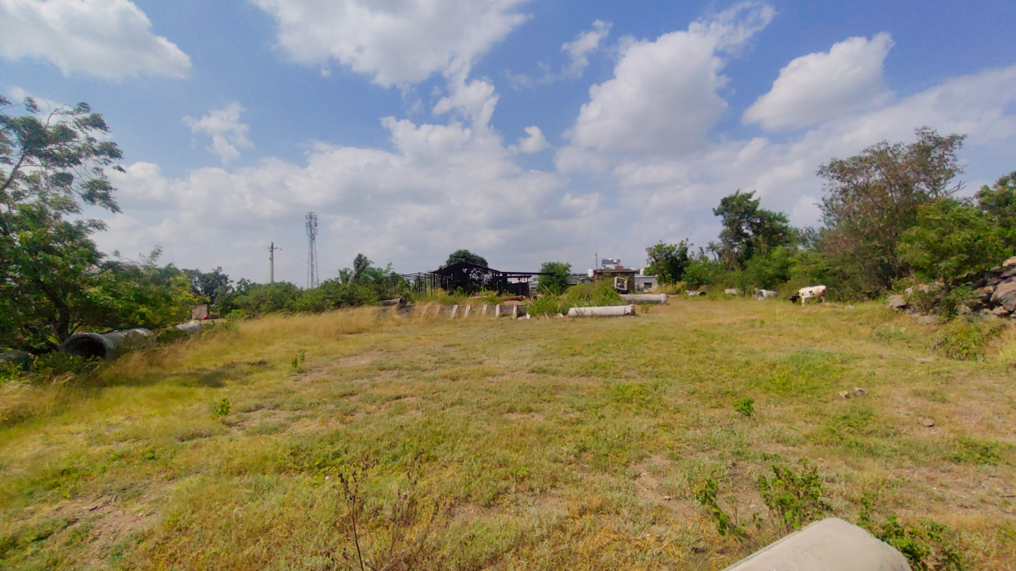 3000 square meter Industrail land with shed for sale in Paud — photo 3