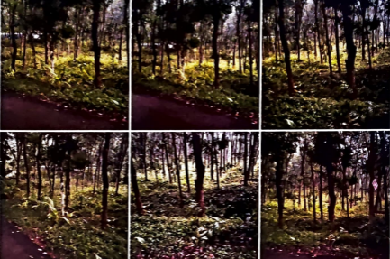 Plot for sale in Ettumanoor — photo 1