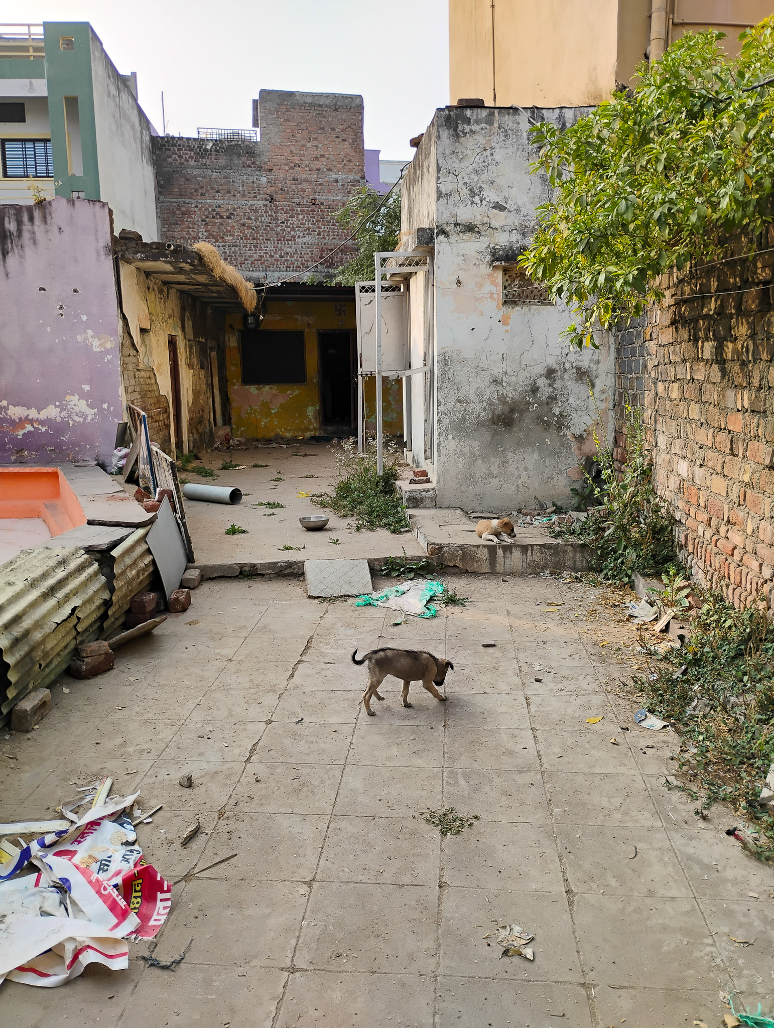 Individual House for sale in badnawar Badnawar — photo 1