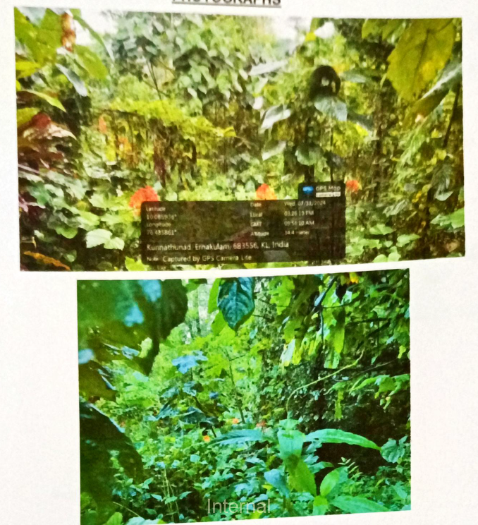 Plot for sale in Perumbavoor — photo 2