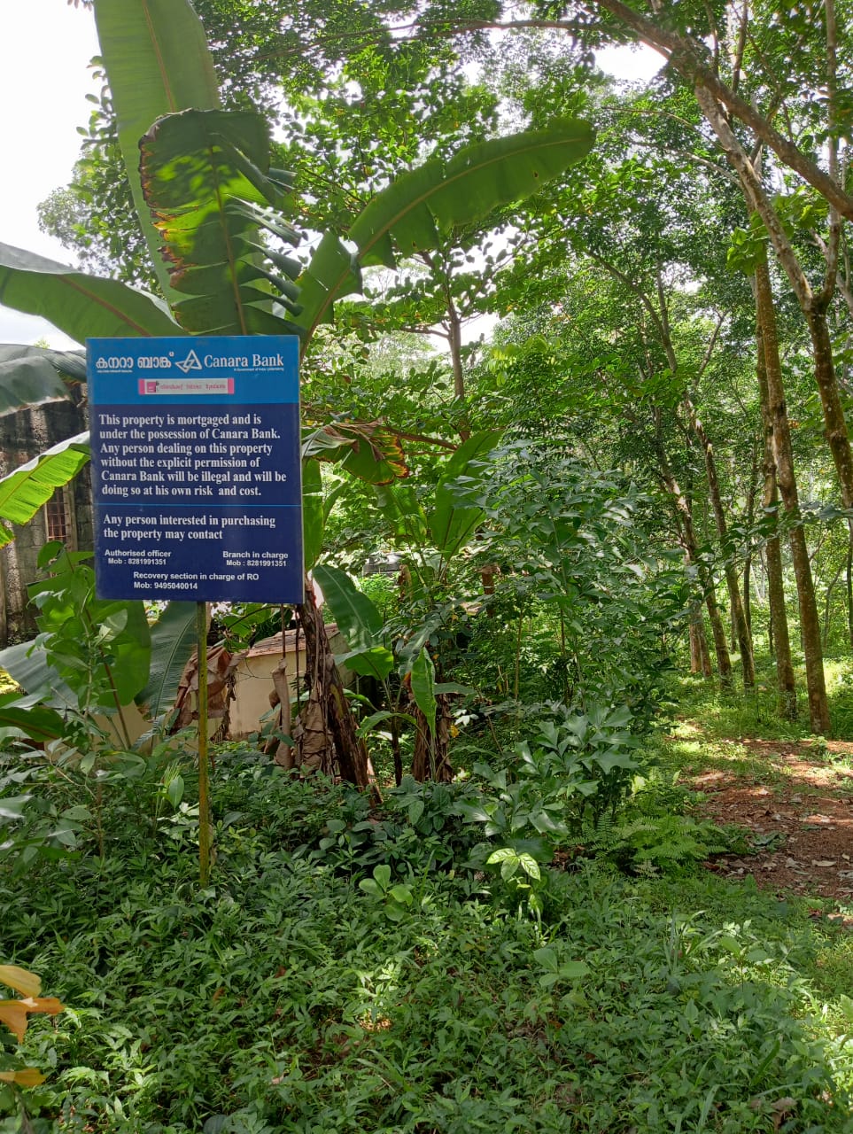 Plot for sale in ANAVOOR VILLAGE Neyyattinkara — photo 1