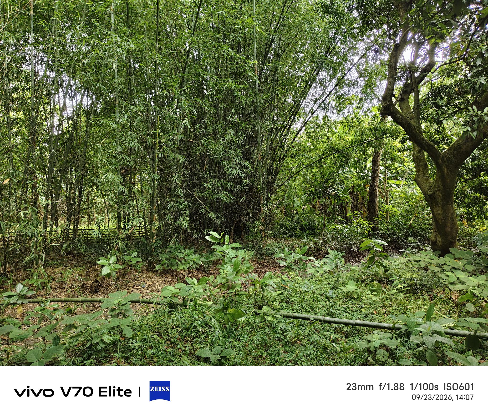 Individual House for sale in Malda — photo 1