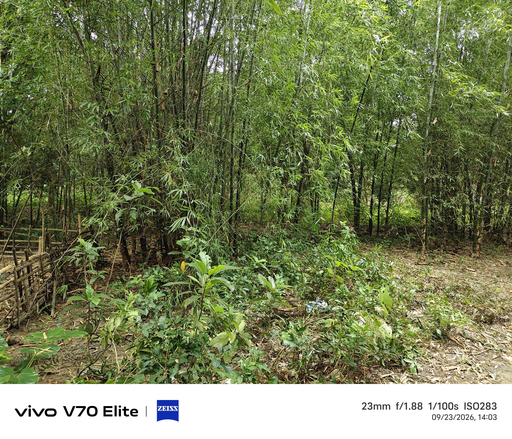 Individual House for sale in Malda — photo 2