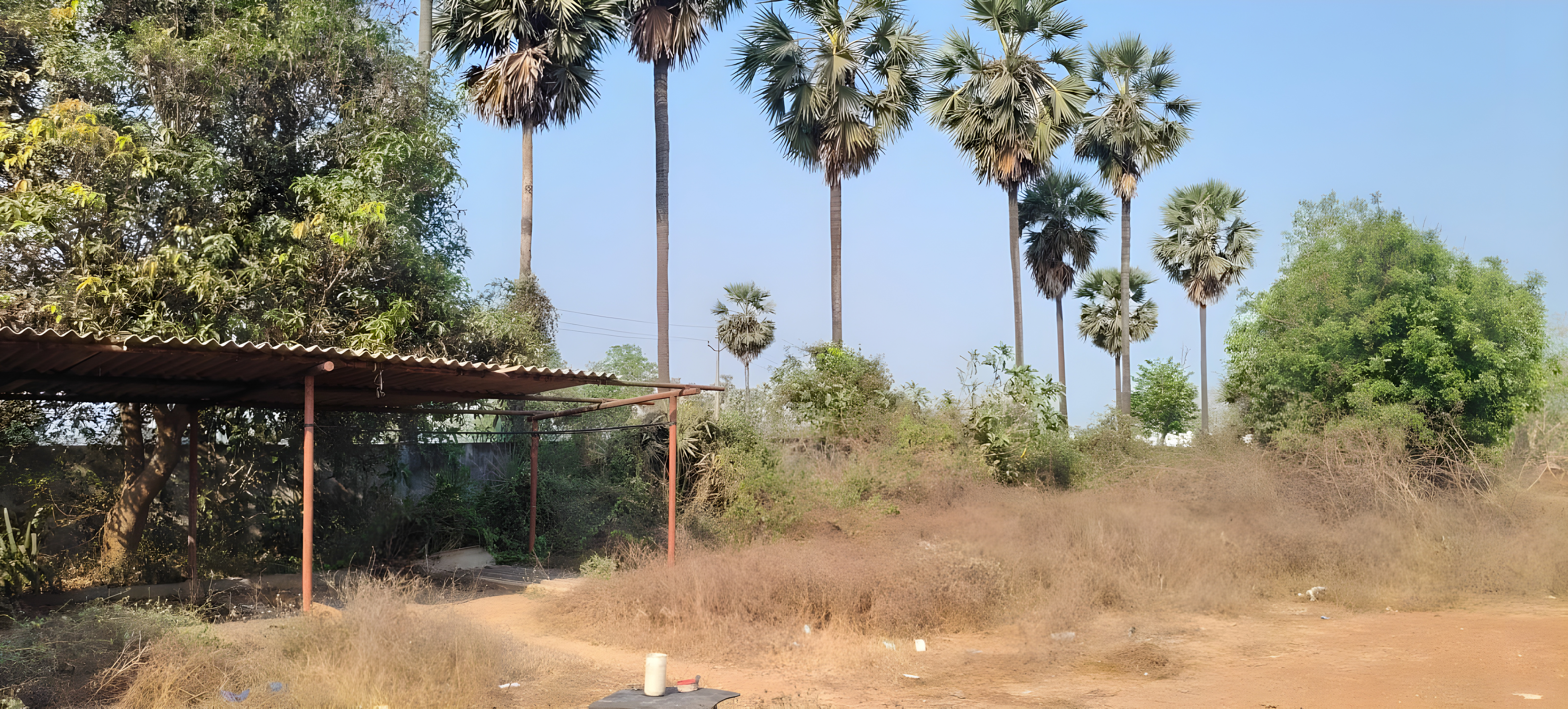 Shed with Plant and Machinery for sale in UNGUTURU Chebrole Khandrika — photo 5