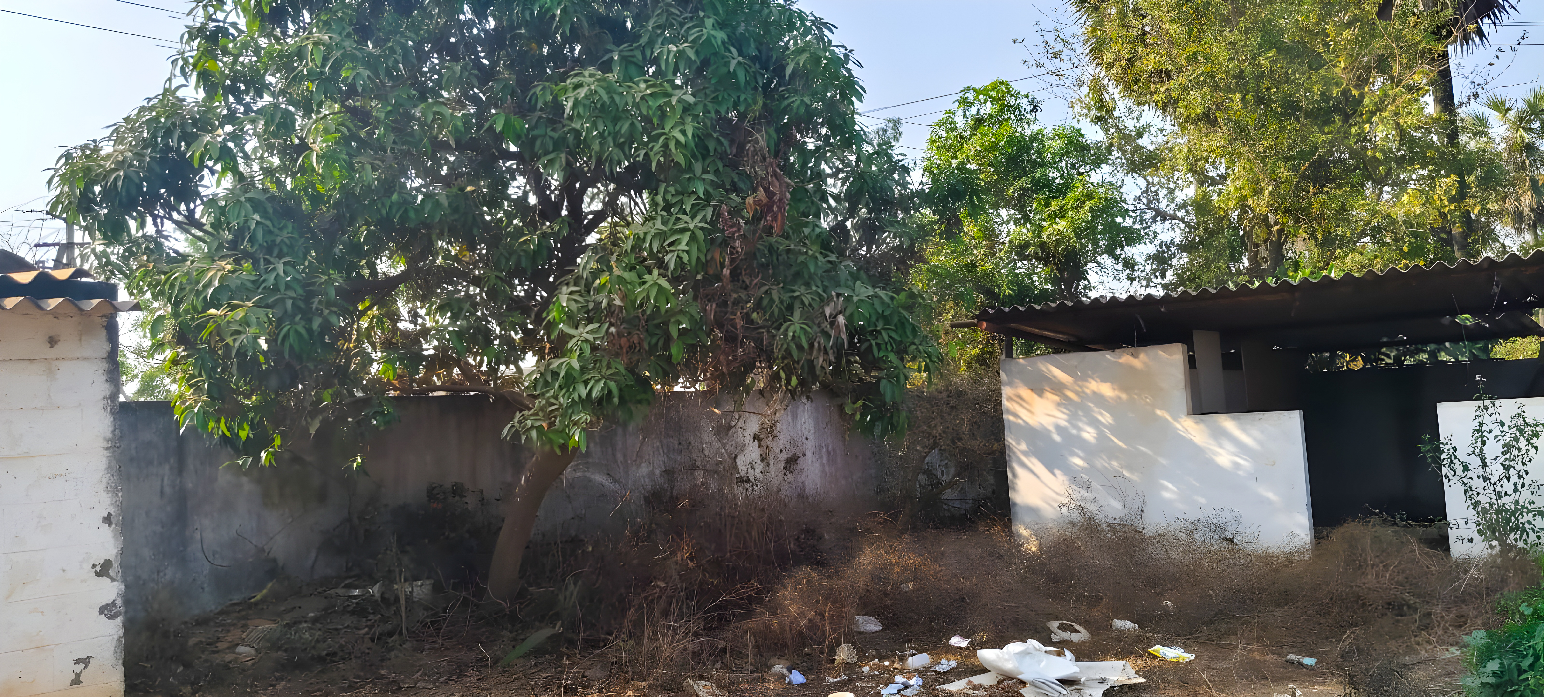 Shed with Plant and Machinery for sale in UNGUTURU Chebrole Khandrika — photo 2