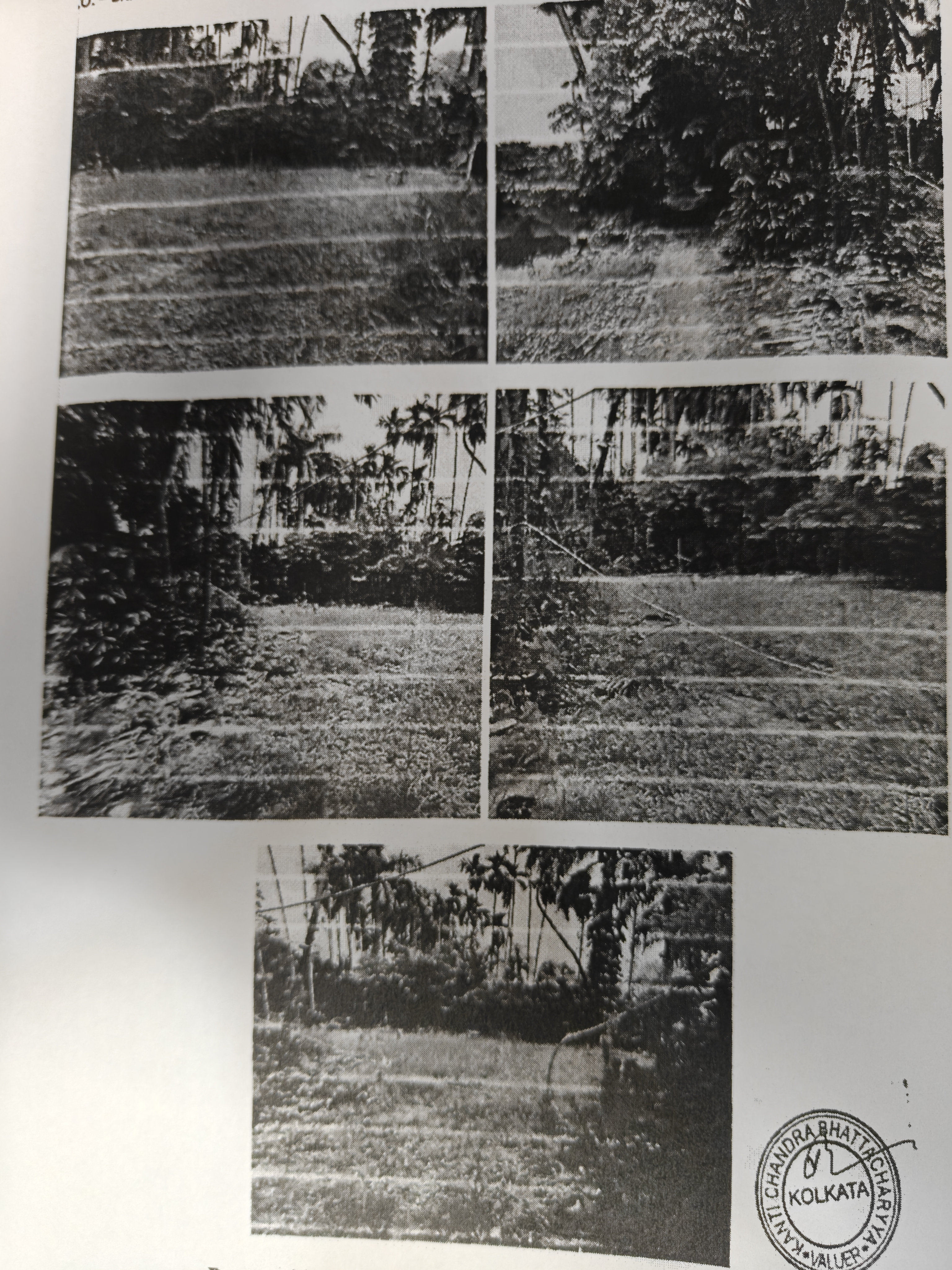 5662.8 square feet Plot for sale in NEAR TO RAJPUR MONDAL PARA RADHA KRISHNA MANDIR Patharberia