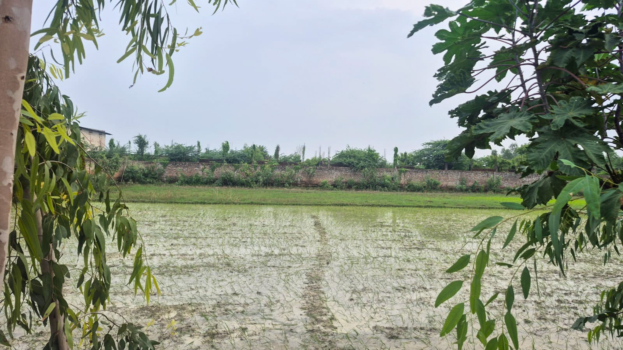 Godowns for sale in NEAR YAMUNA EXPRESSWAY Kanpur — photo 18