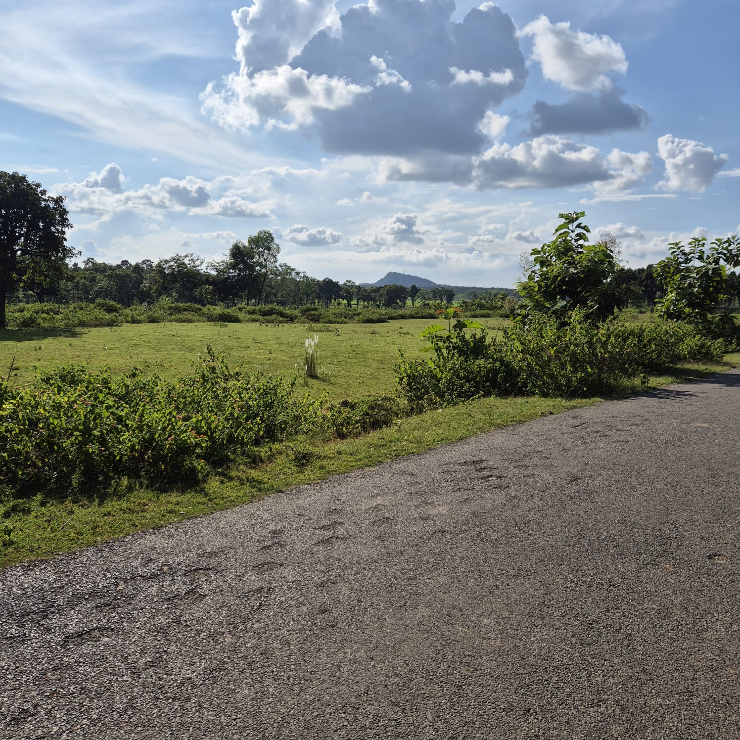 OTHERS USES- EDUCATIONAL INSTITUTE AND VACANT LAND for sale in Meru