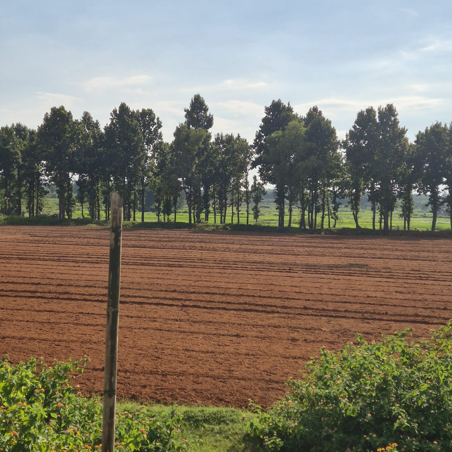 OTHERS USES- EDUCATIONAL INSTITUTE AND VACANT LAND for sale in Meru — photo 2
