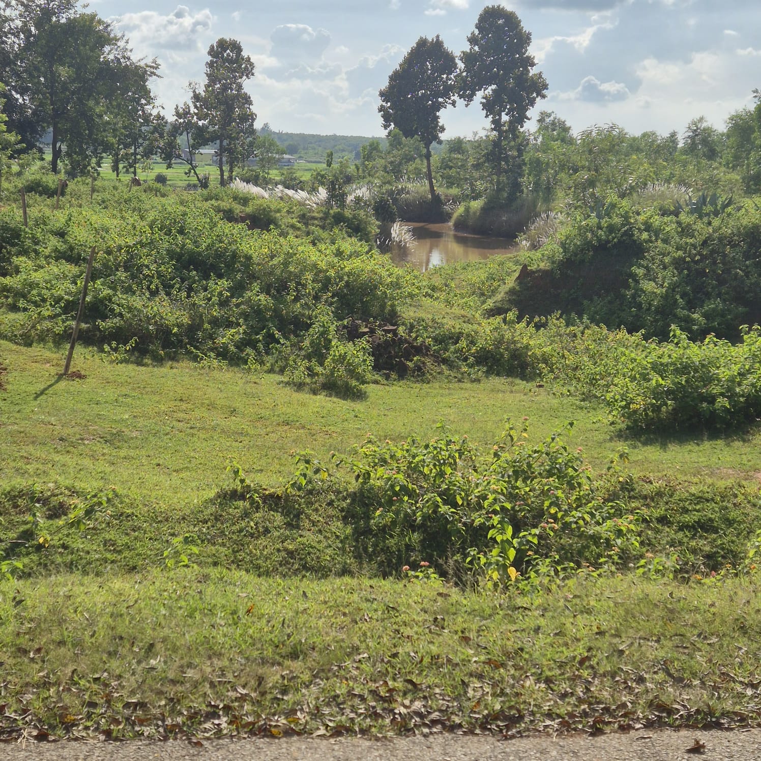 OTHERS USES- EDUCATIONAL INSTITUTE AND VACANT LAND for sale in Meru — photo 3
