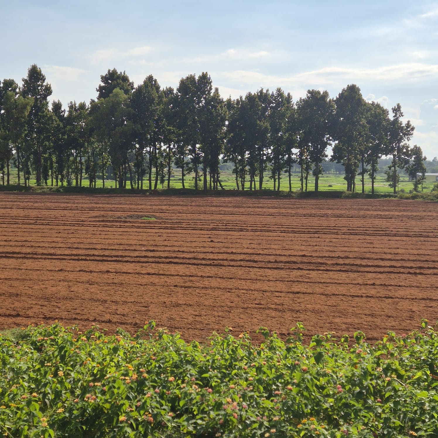 OTHERS USES- EDUCATIONAL INSTITUTE AND VACANT LAND for sale in Meru — photo 5