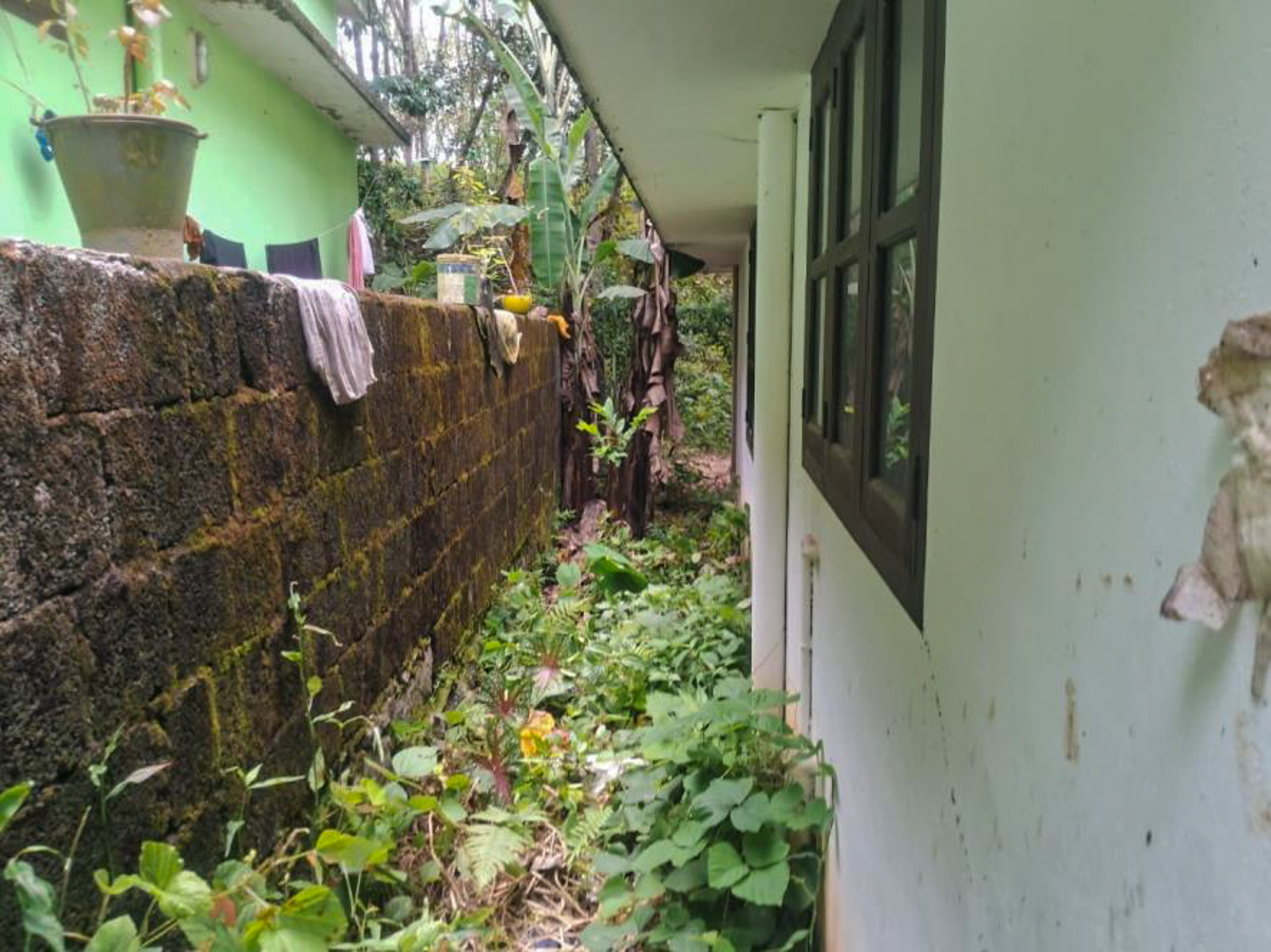 3 BHK Individual House for sale in NIL, Tholicode Karakulam — photo 3