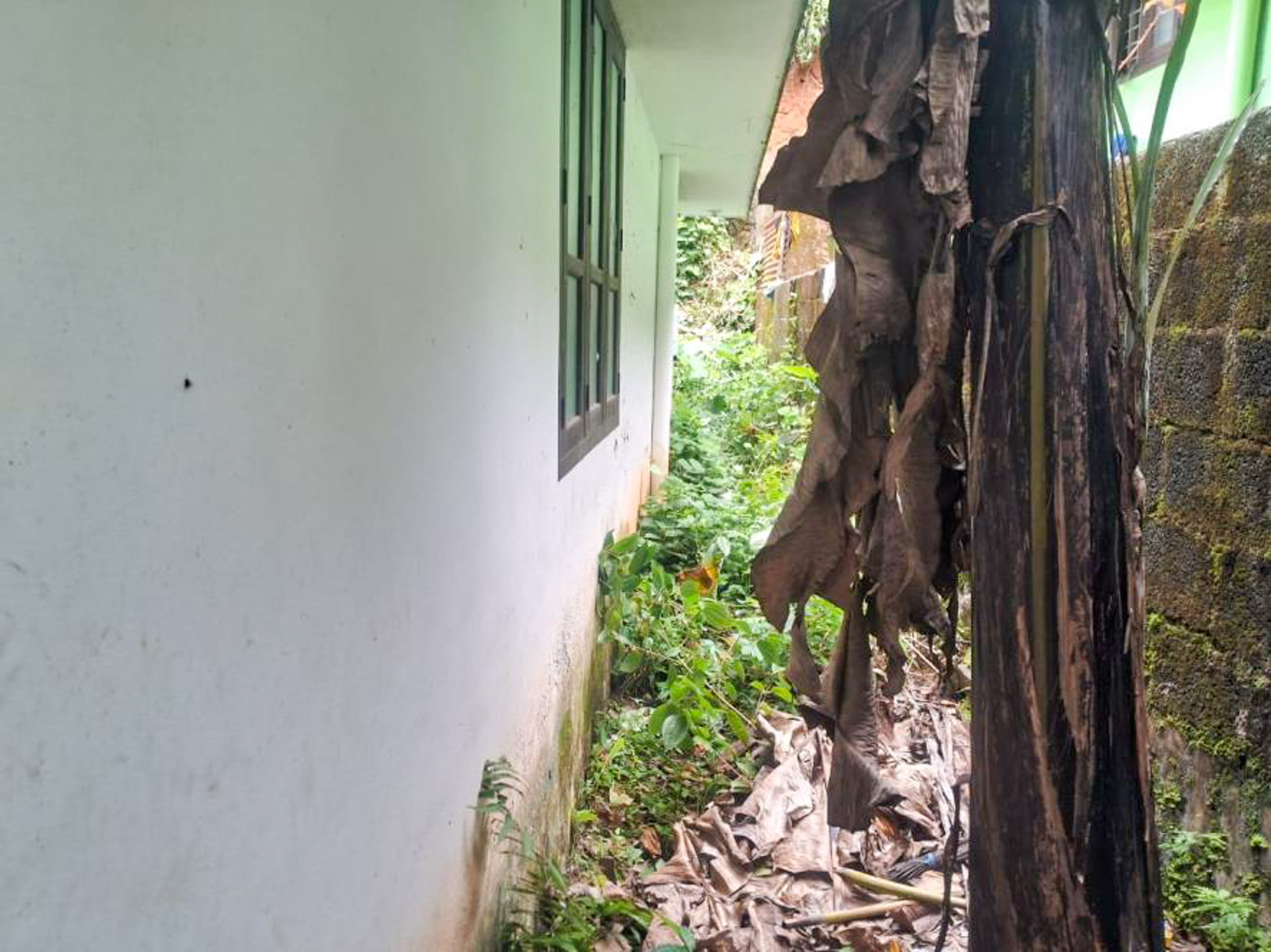 3 BHK Individual House for sale in NIL, Tholicode Karakulam — photo 6
