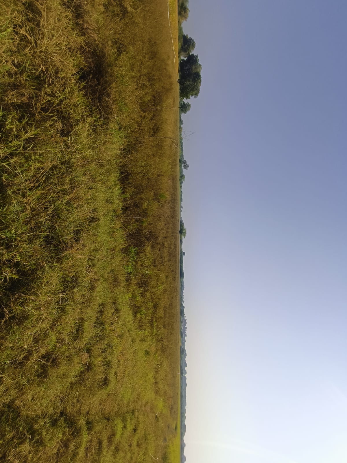 Agriculture Land for sale in Kointiya Vani — photo 4