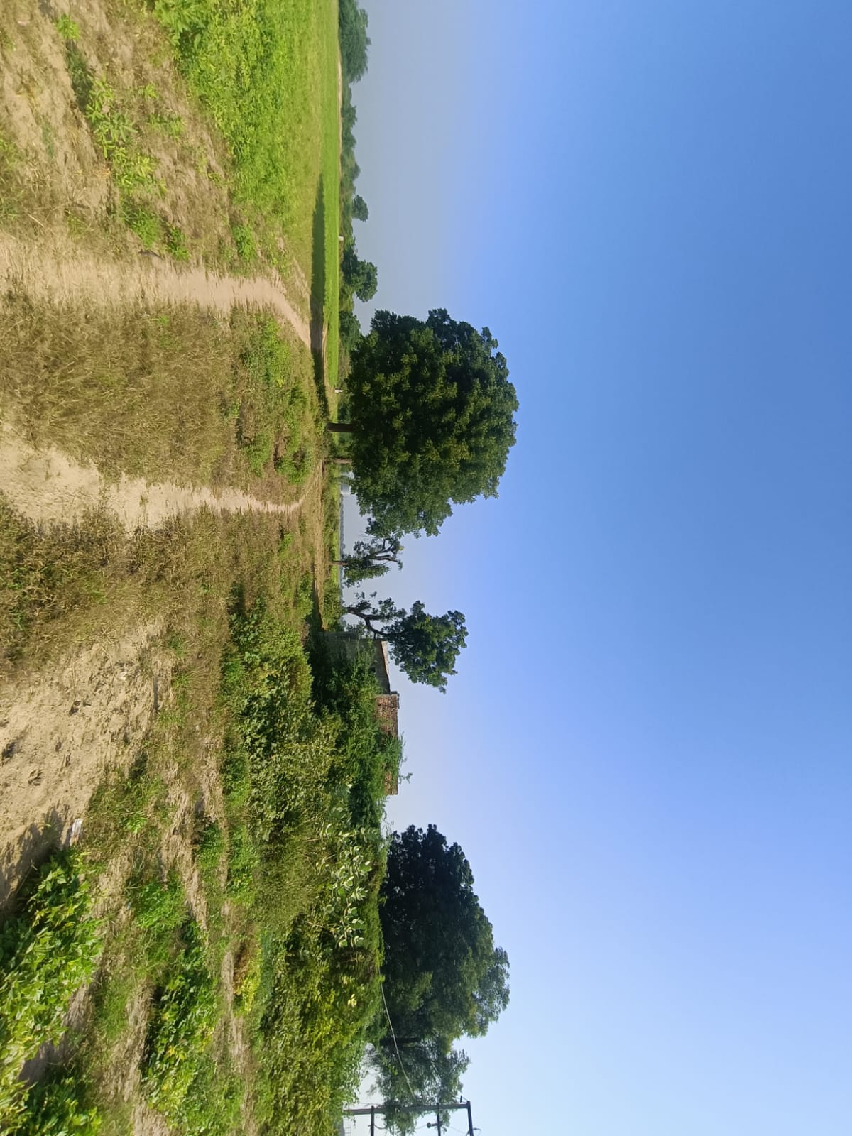 Agriculture Land for sale in Kointiya Vani — photo 2