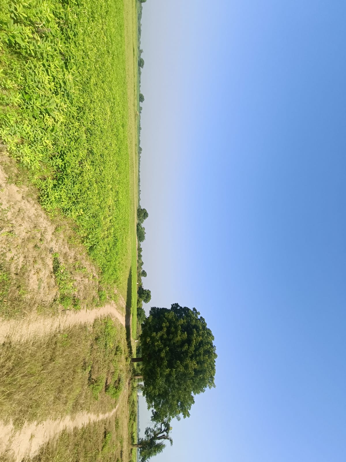 39162 square meter Agriculture Land for sale in Kointiya Vani