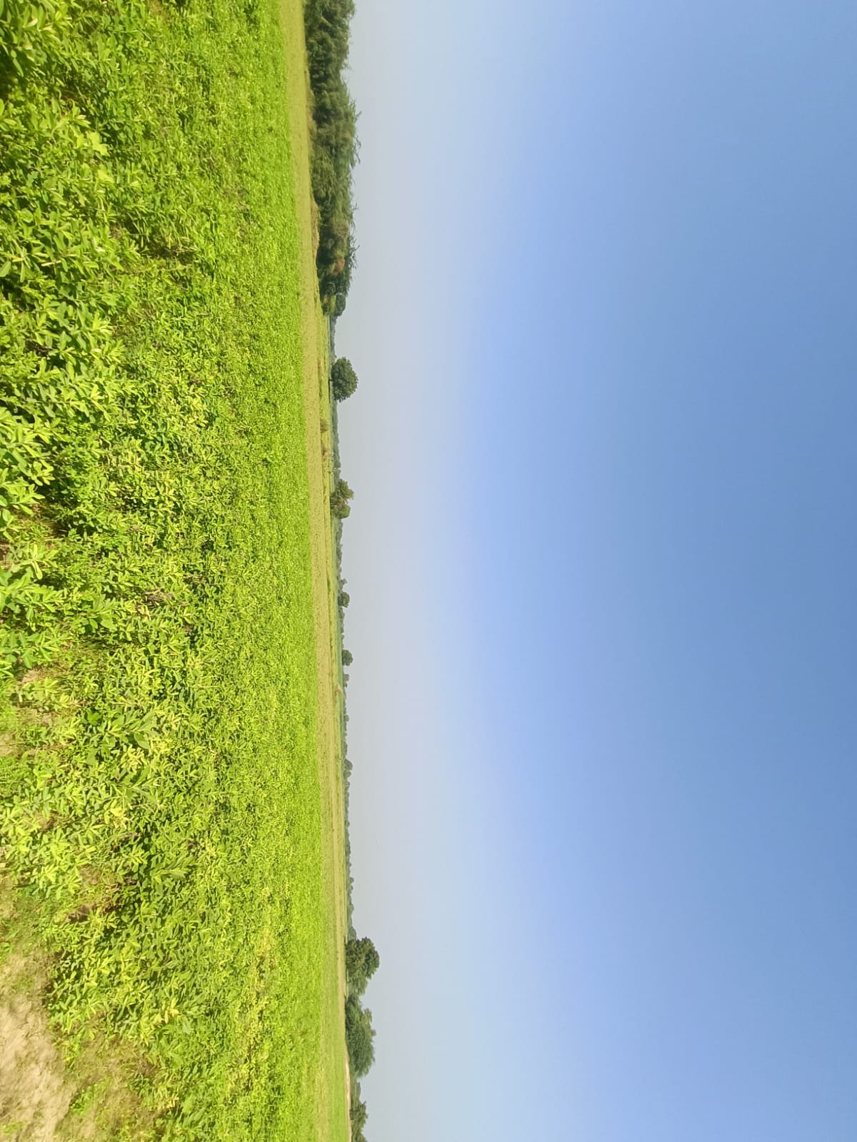 27440 square meter Agriculture Land for sale in Kointiya Vani